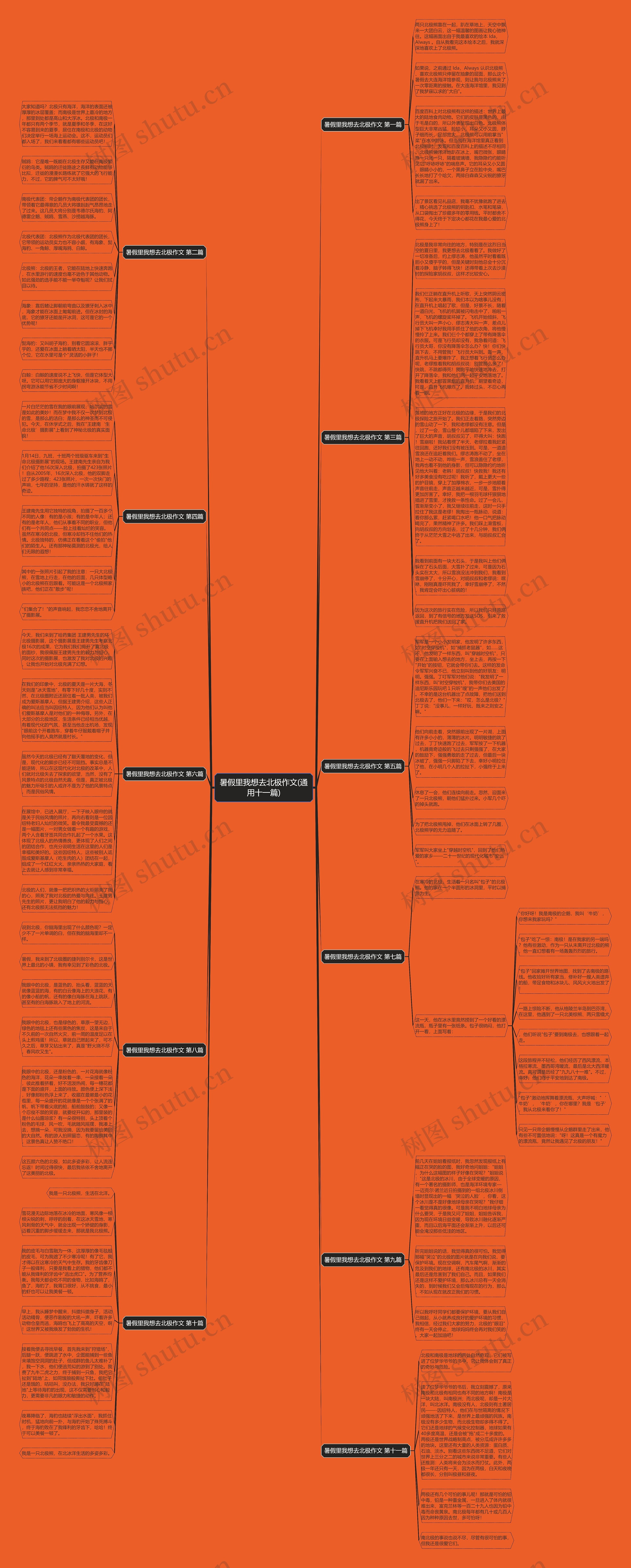 暑假里我想去北极作文(通用十一篇)思维导图