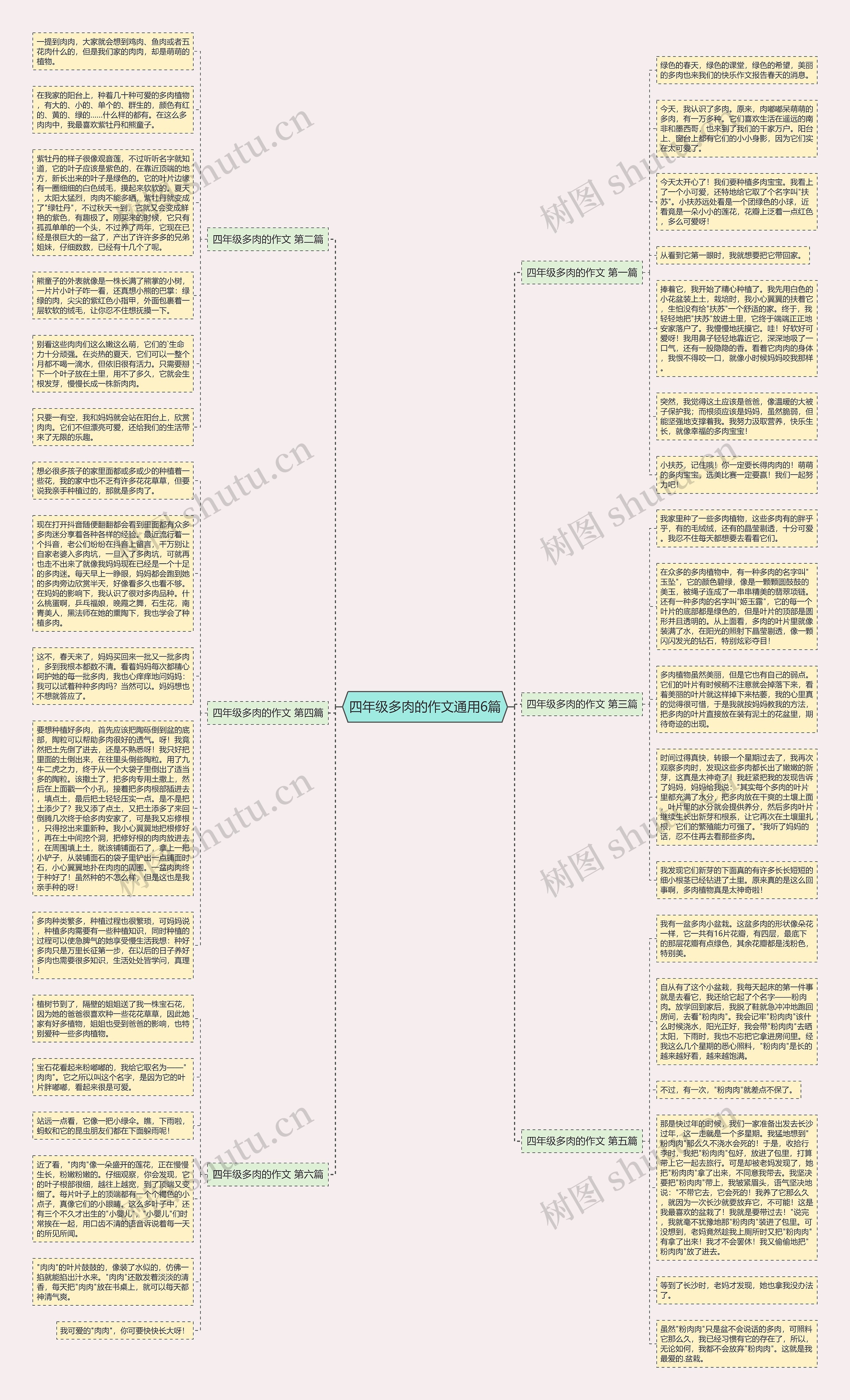 四年级多肉的作文通用6篇思维导图