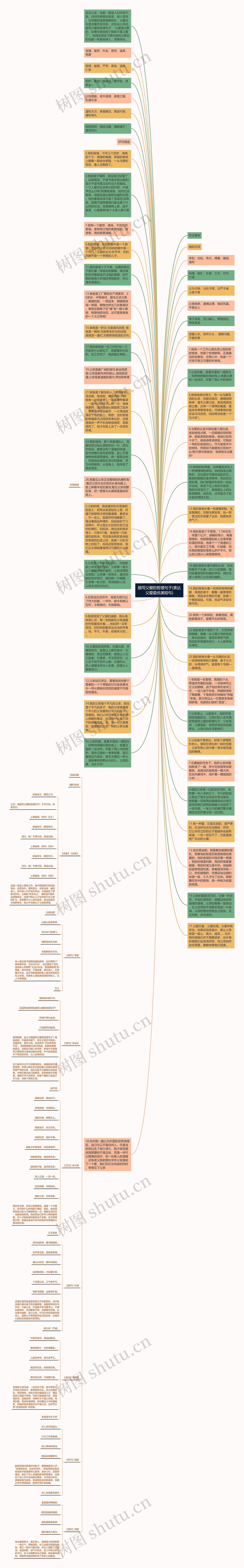 描写父爱的哲理句子(表达父爱最优美短句)思维导图