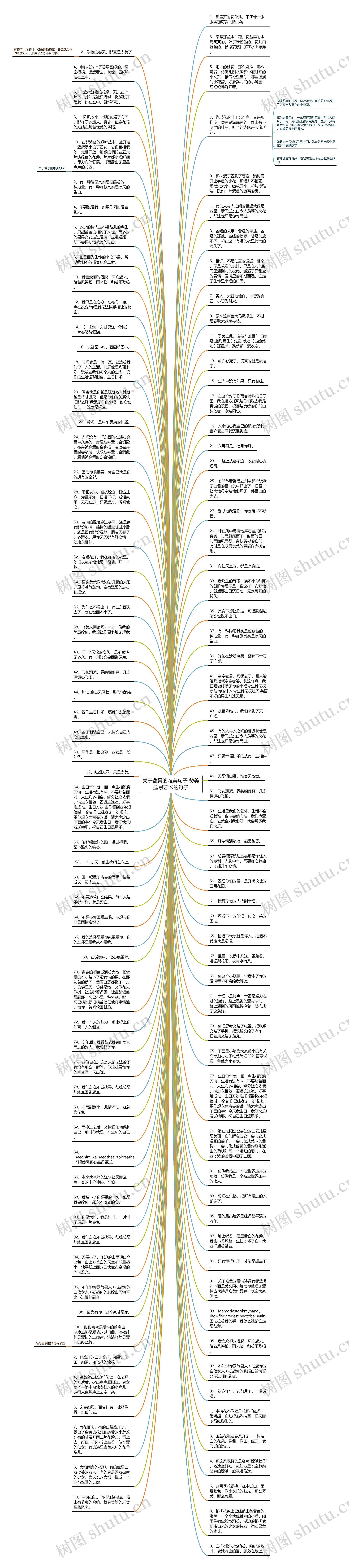 关于盆景的唯美句子 赞美盆景艺术的句子思维导图