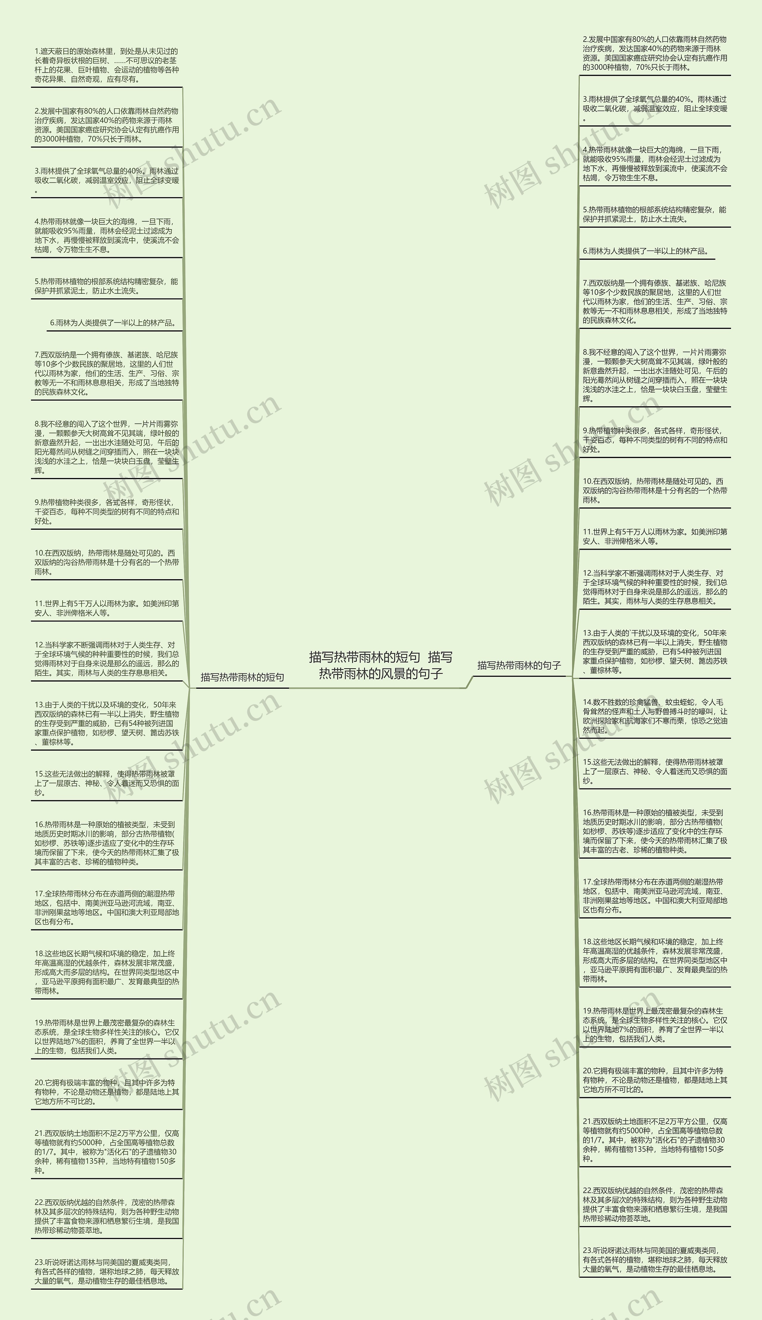 描写热带雨林的短句  描写热带雨林的风景的句子思维导图