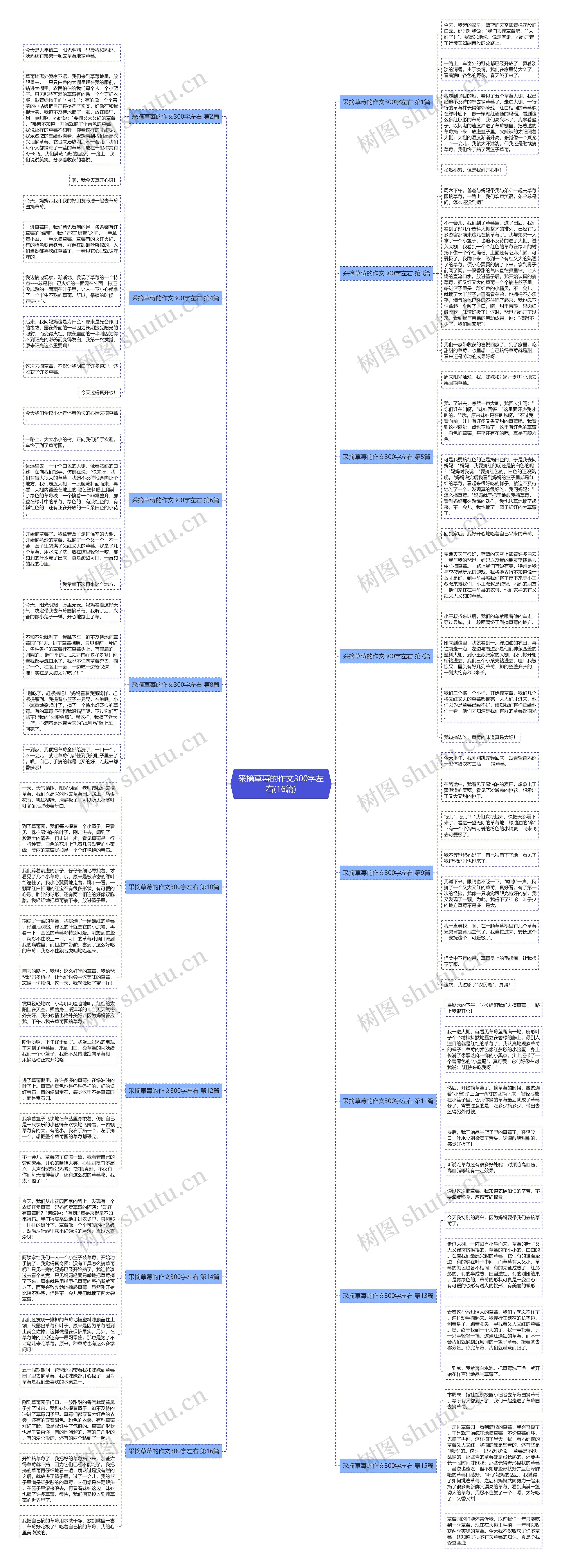 采摘草莓的作文300字左右(16篇)思维导图