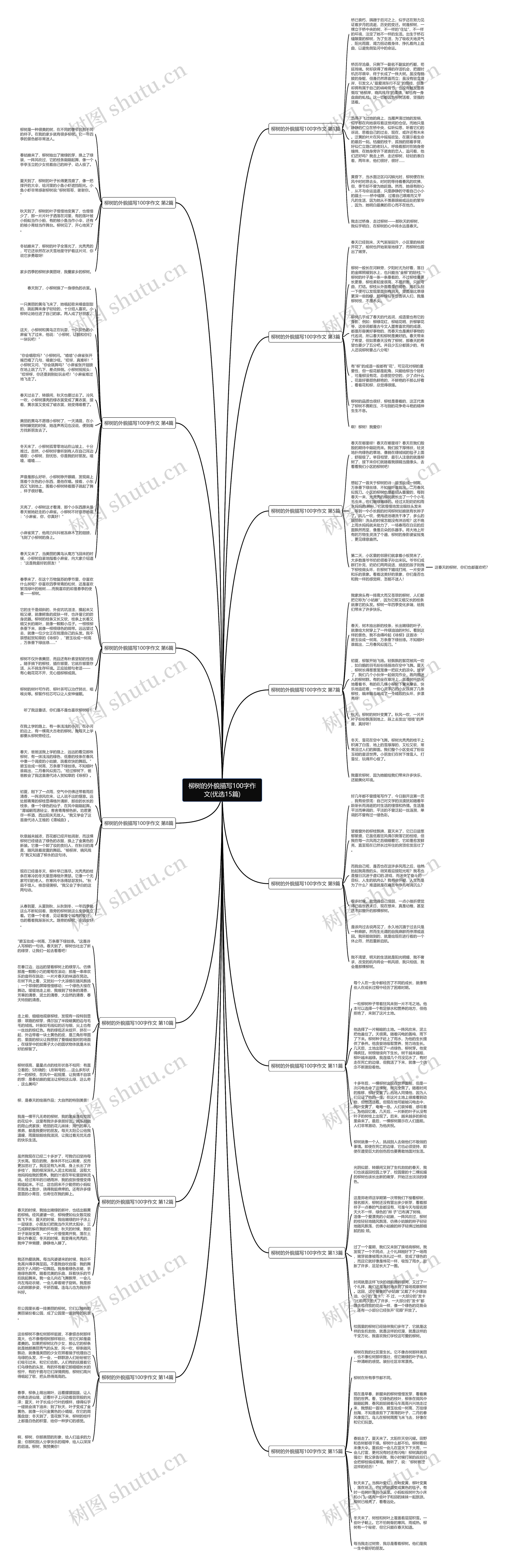 柳树的外貌描写100字作文(优选15篇)思维导图