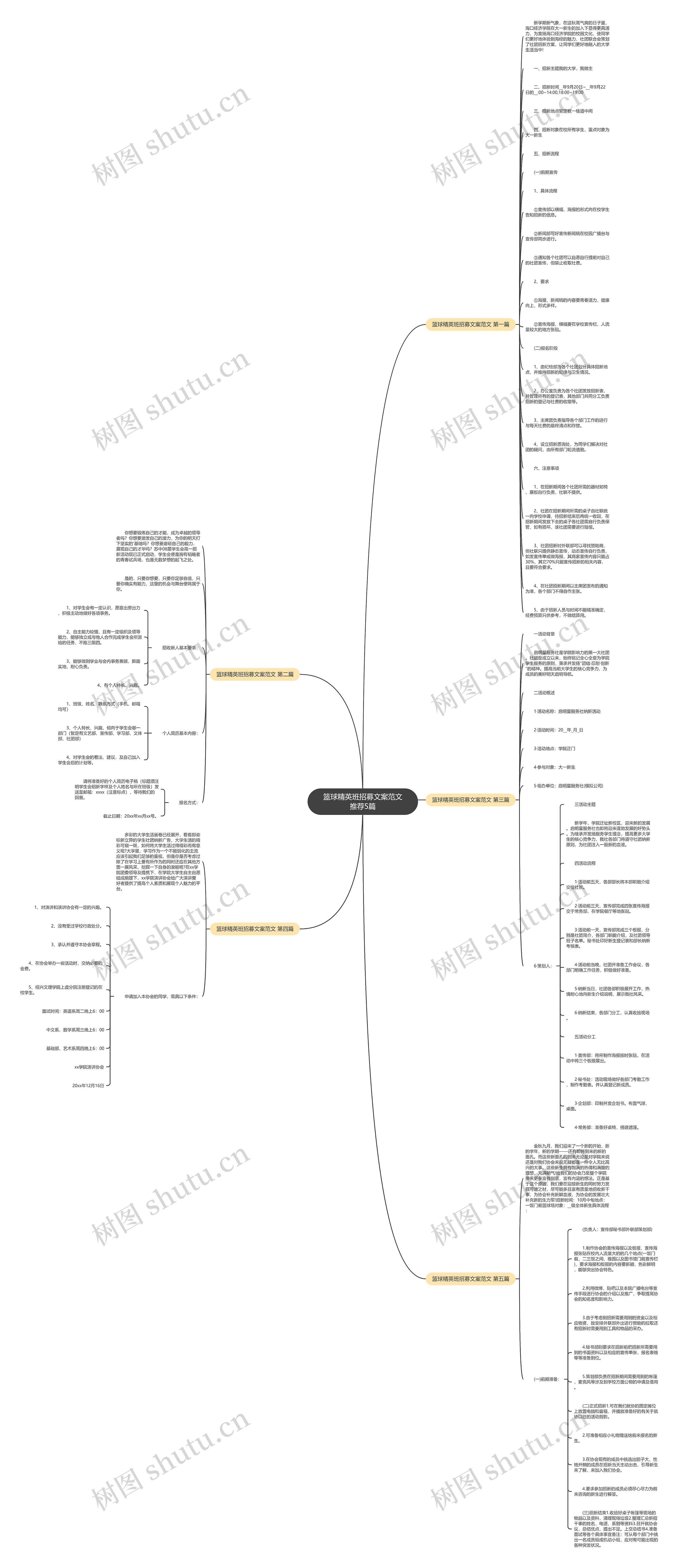 篮球精英班招募文案范文推荐5篇思维导图