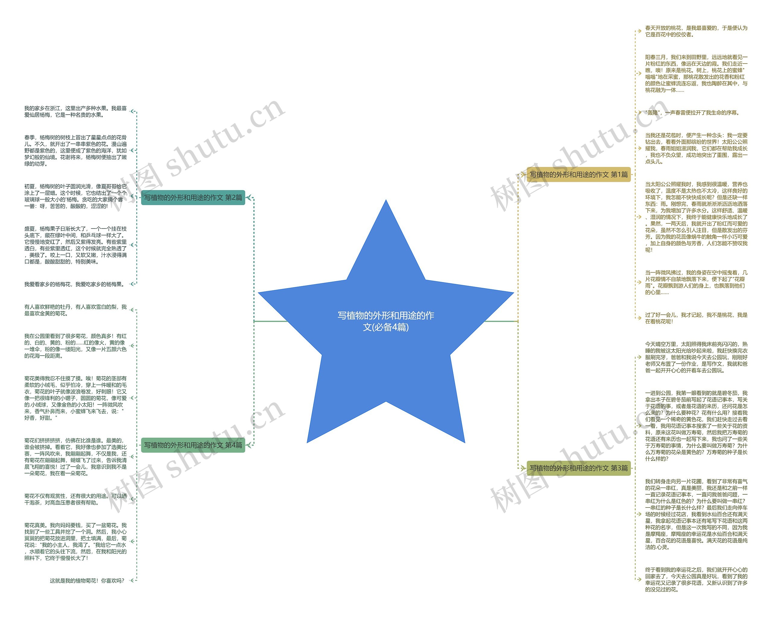 写植物的外形和用途的作文(必备4篇)思维导图