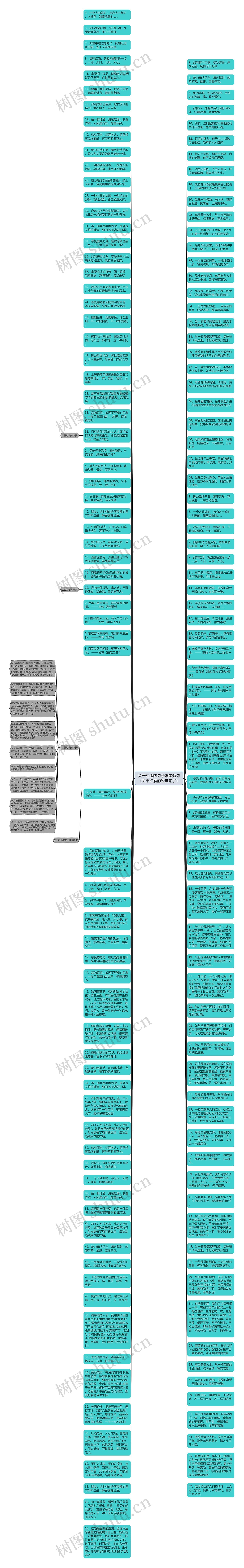 关于红酒的句子唯美短句（关于红酒的经典句子）思维导图