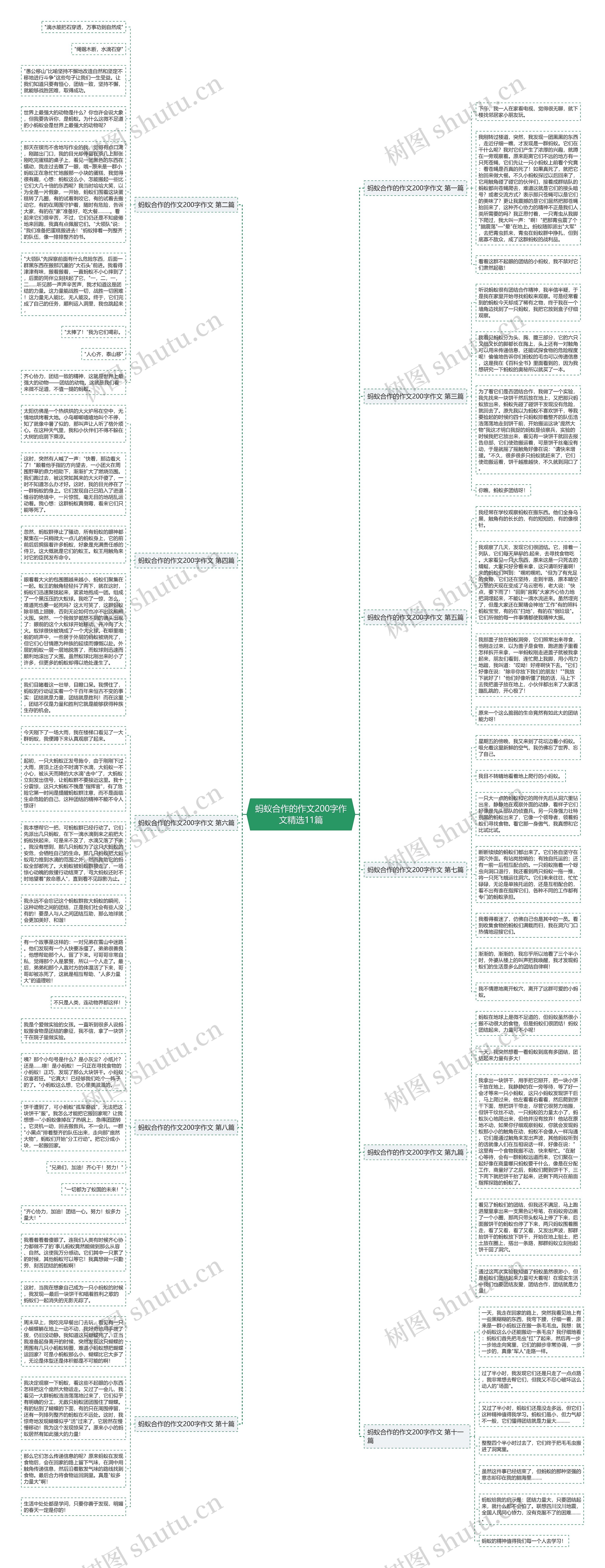 蚂蚁合作的作文200字作文精选11篇思维导图