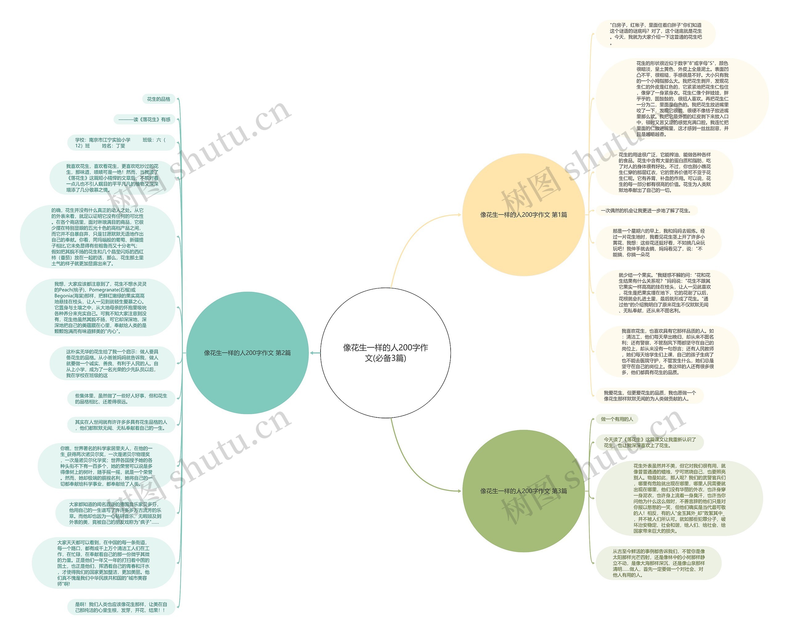像花生一样的人200字作文(必备3篇)思维导图