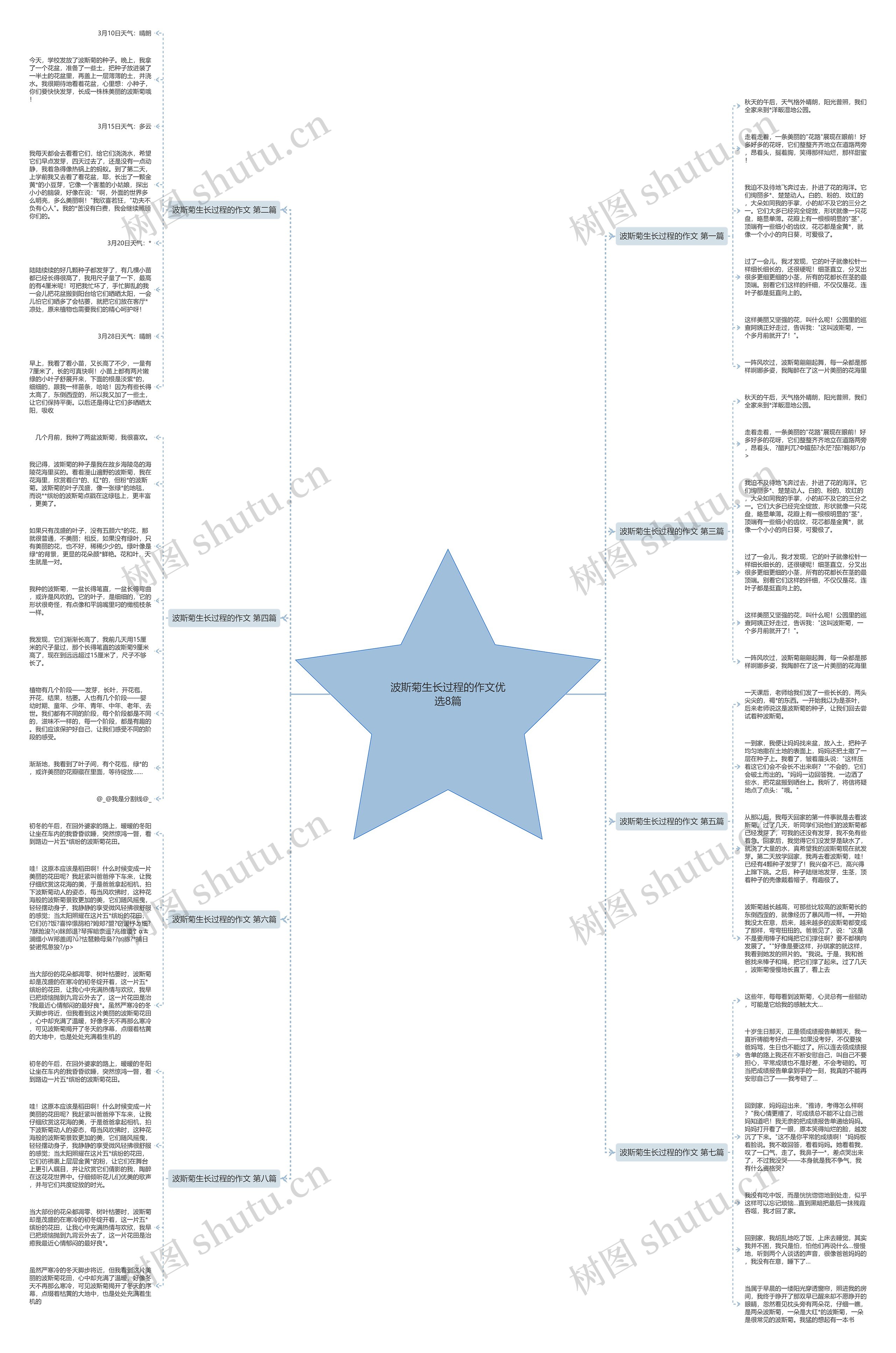 波斯菊生长过程的作文优选8篇思维导图
