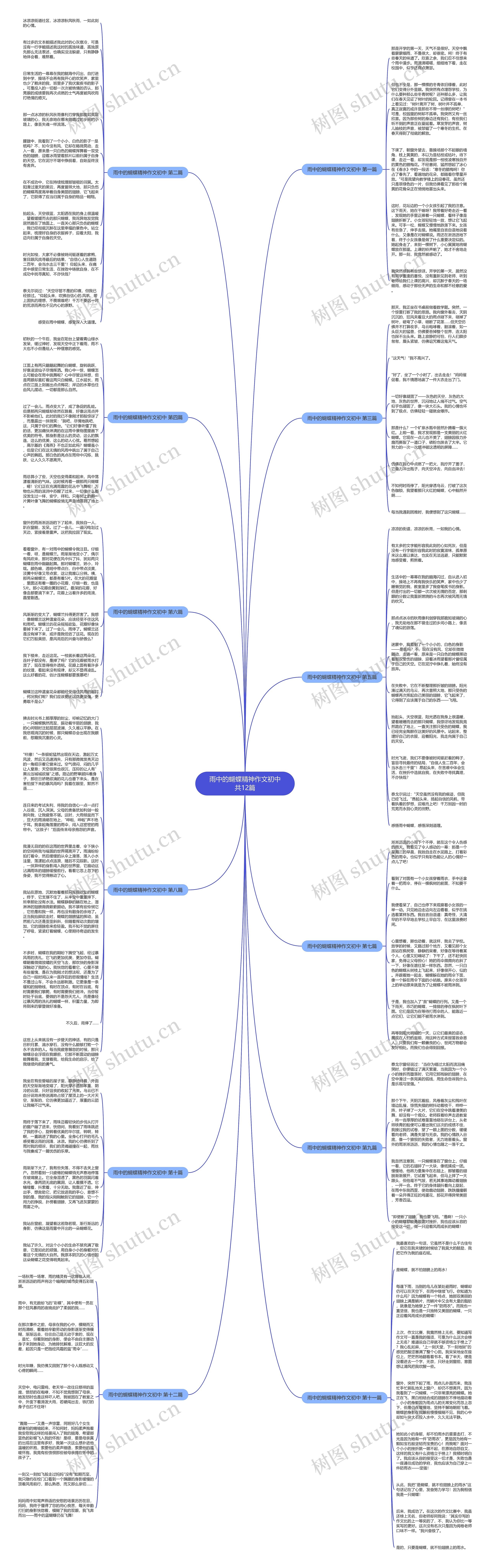 雨中的蝴蝶精神作文初中共12篇思维导图
