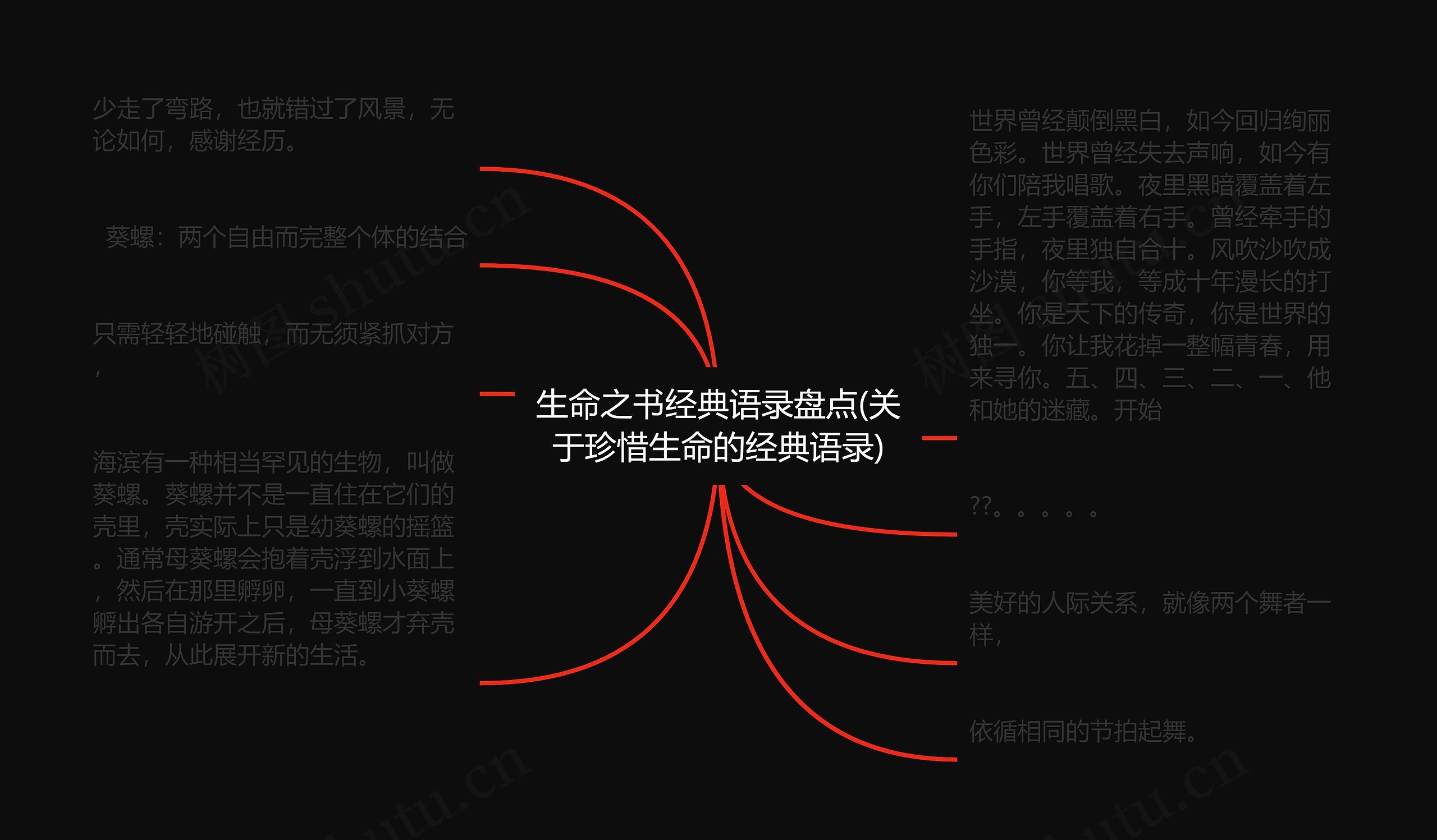 生命之书经典语录盘点(关于珍惜生命的经典语录) 生命之书经典语录盘点(关于珍惜生命的经典语录)