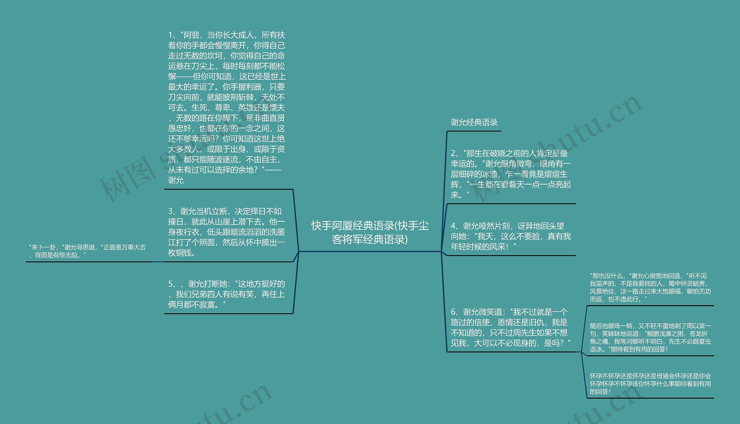 快手阿厦经典语录(快手尘客将军经典语录)