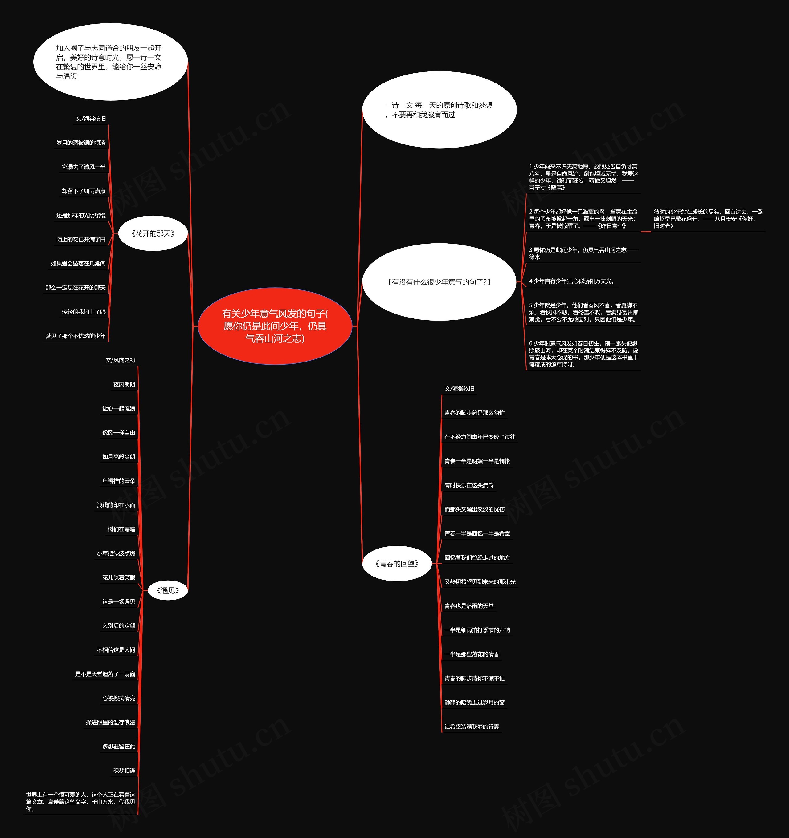 有关少年意气风发的句子(愿你仍是此间少年，仍具气吞山河之志)思维导图