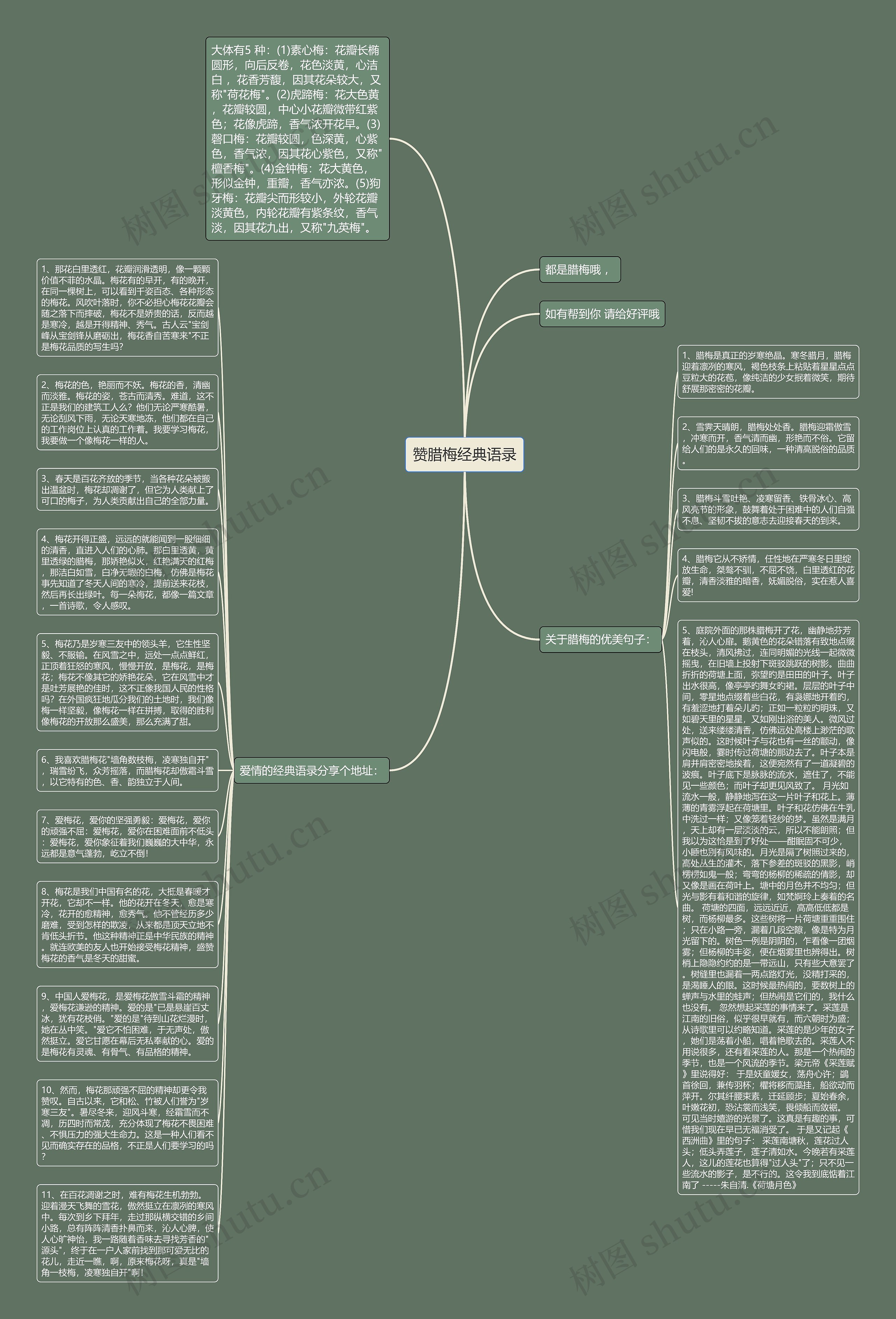 赞腊梅经典语录思维导图
