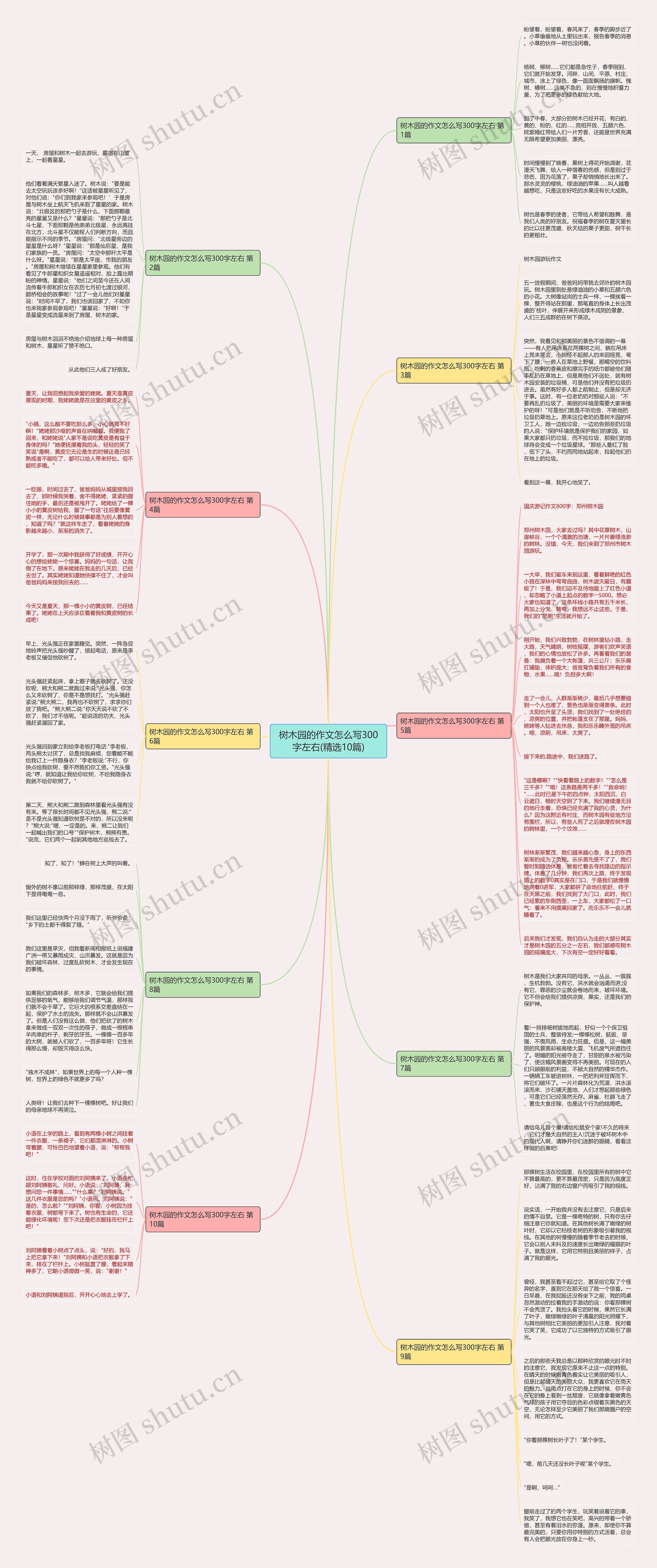 树木园的作文怎么写300字左右(精选10篇)思维导图