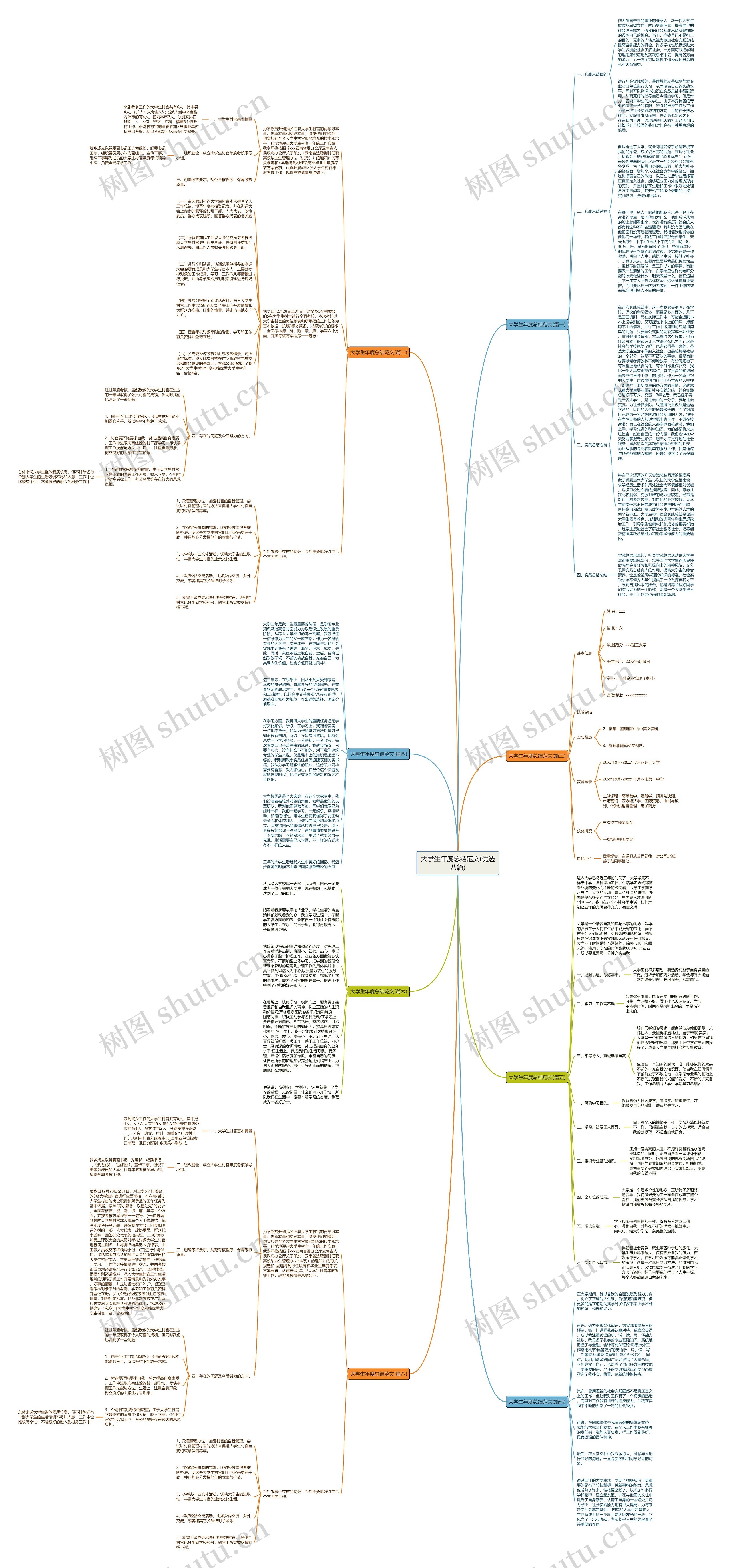 大学生年度总结范文(优选八篇)思维导图