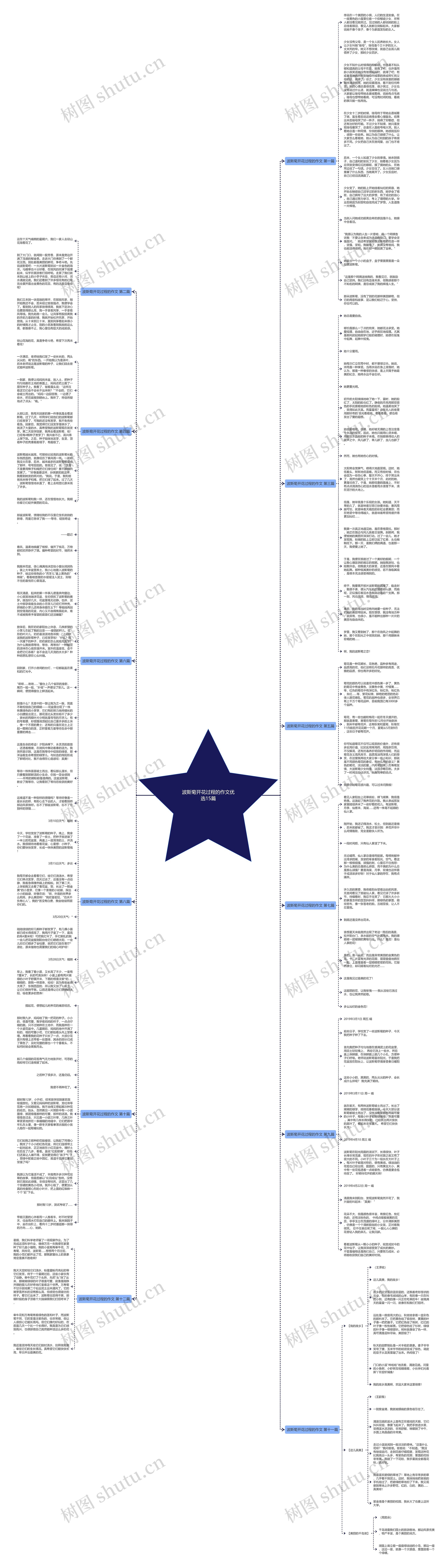 波斯菊开花过程的作文优选15篇思维导图
