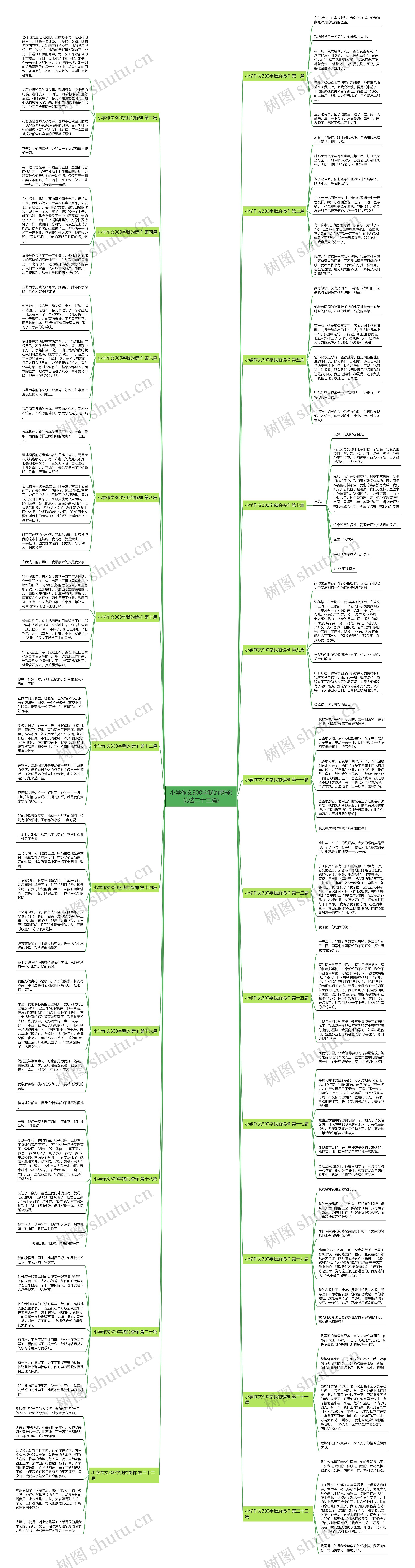 小学作文300字我的榜样(优选二十三篇)思维导图