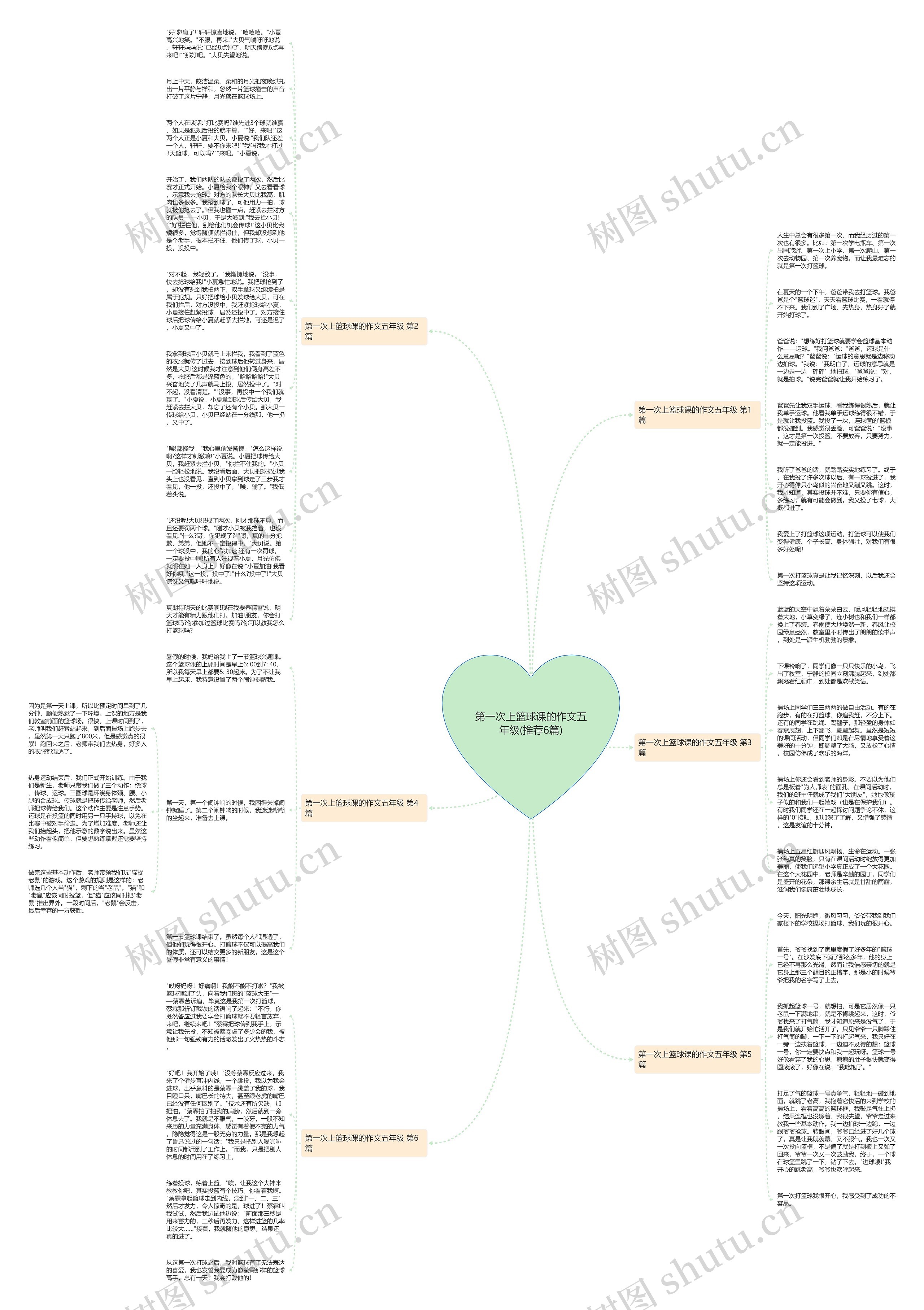 第一次上篮球课的作文五年级(推荐6篇)思维导图