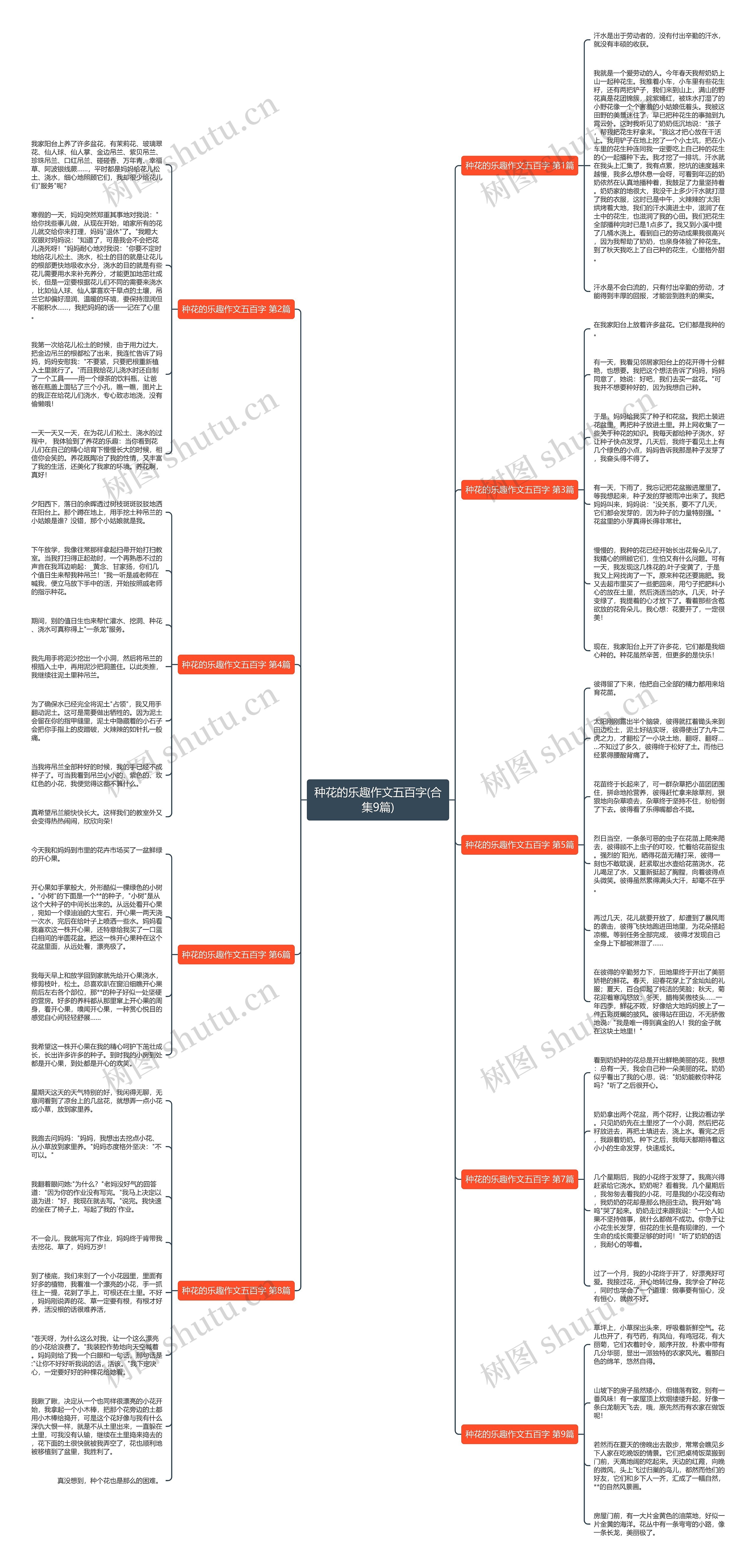 种花的乐趣作文五百字(合集9篇)思维导图