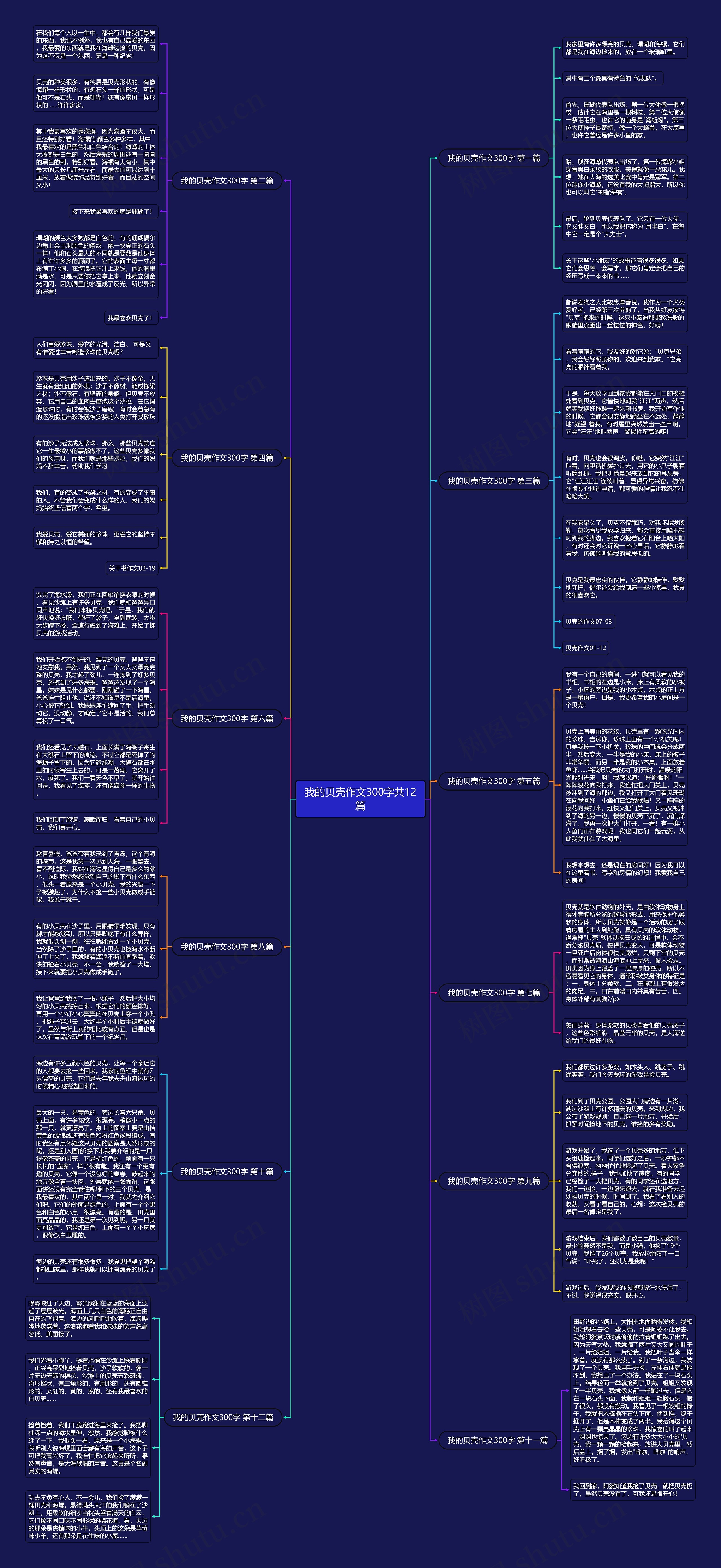 我的贝壳作文300字共12篇 我的贝壳作文300字共12篇
