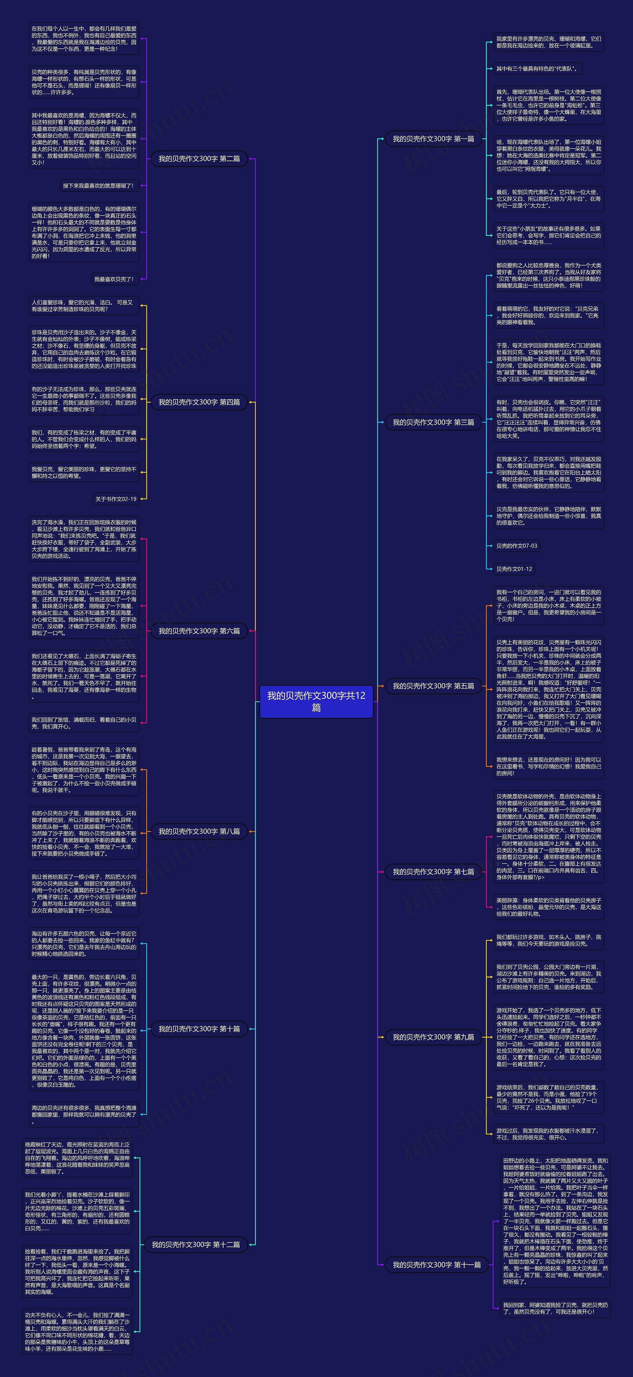 我的贝壳作文300字共12篇思维导图