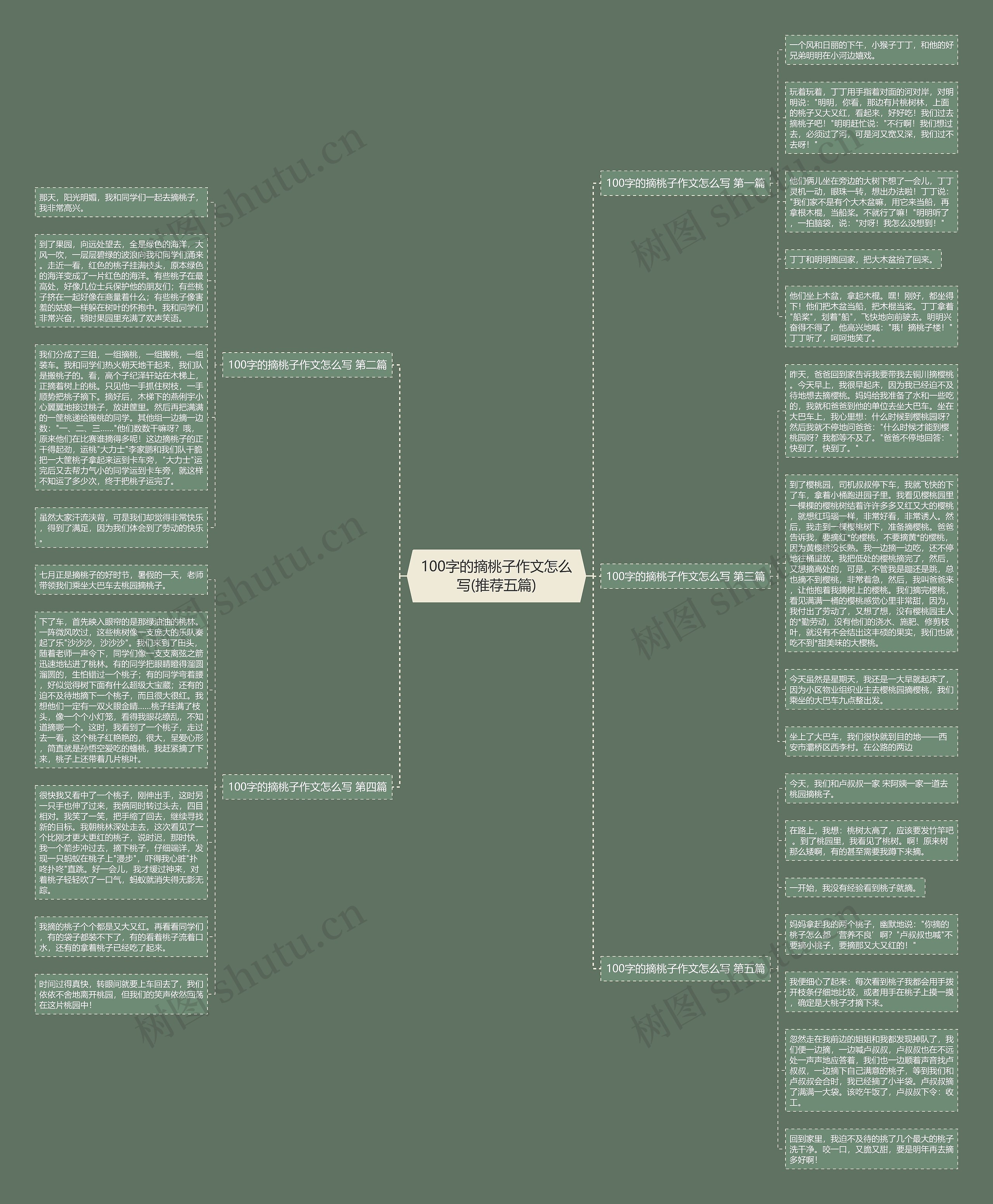 100字的摘桃子作文怎么写(推荐五篇)思维导图
