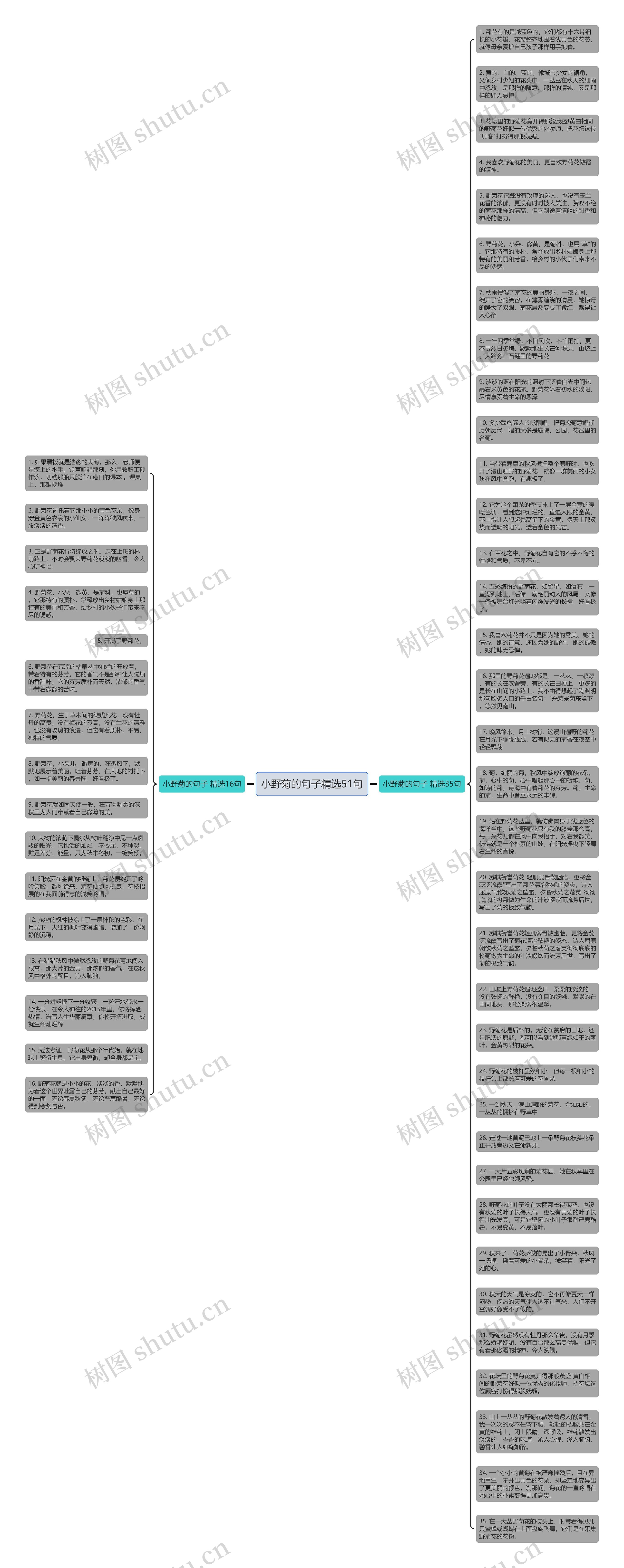 小野菊的句子精选51句思维导图