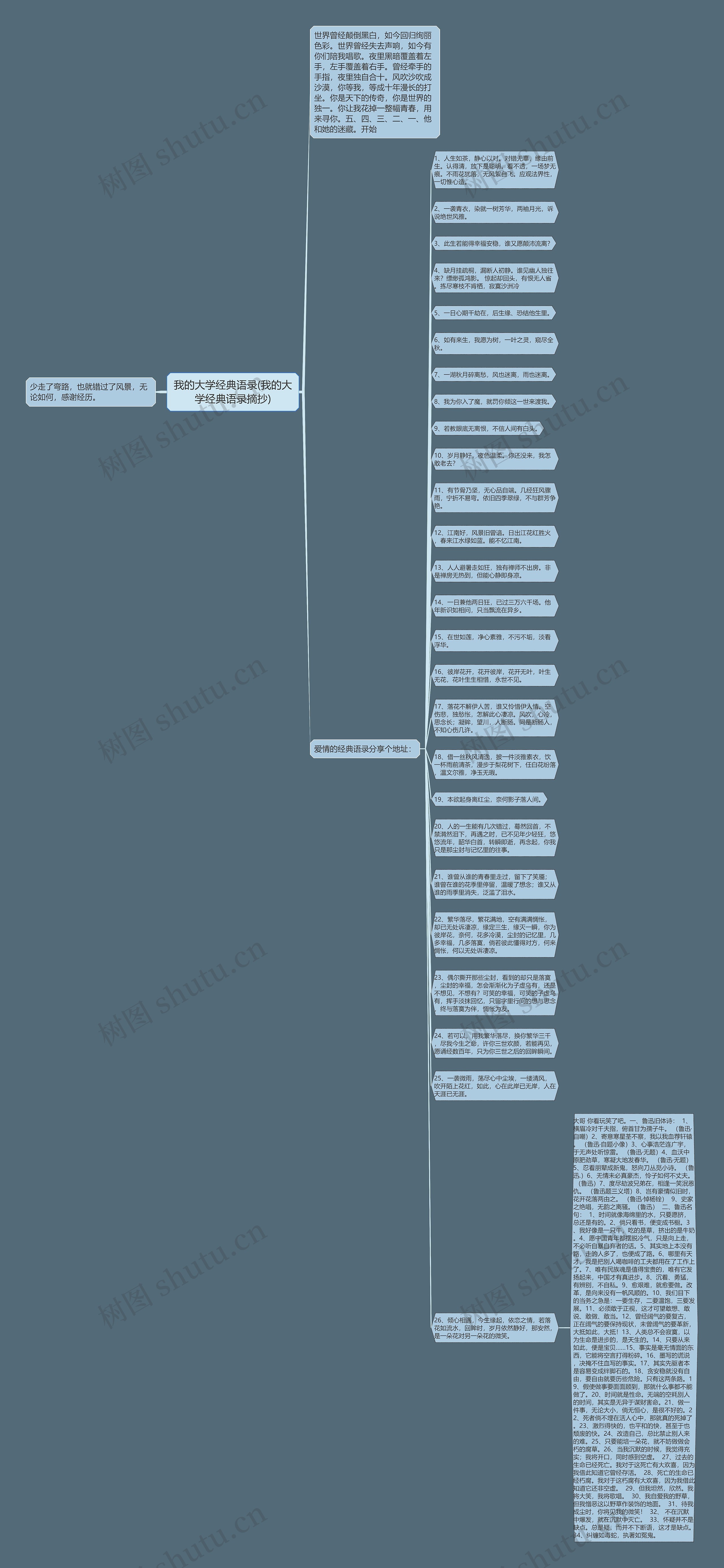 我的大学经典语录(我的大学经典语录摘抄)思维导图