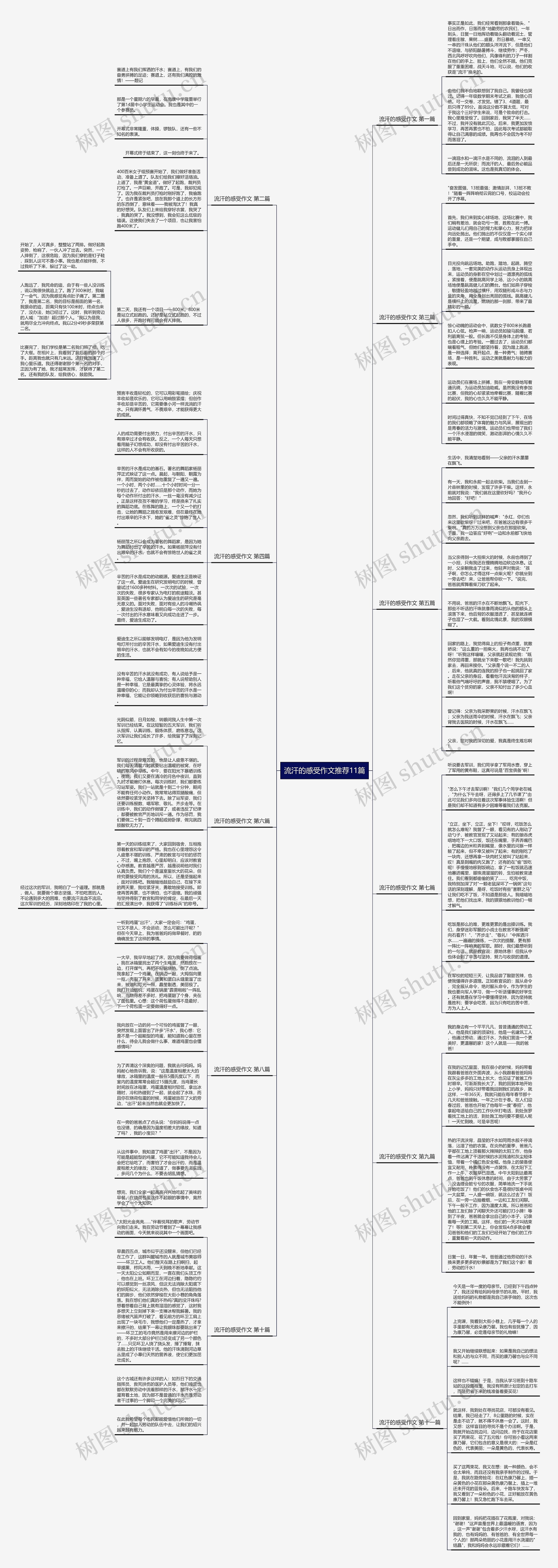 流汗的感受作文推荐11篇思维导图