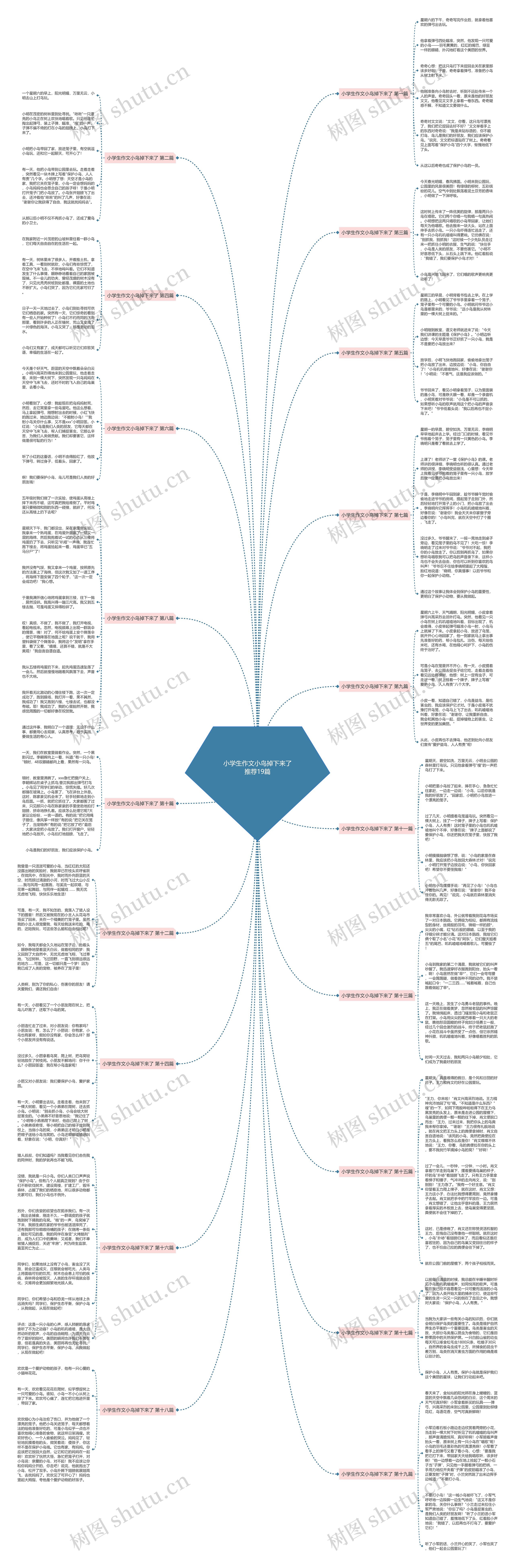 小学生作文小鸟掉下来了推荐19篇思维导图