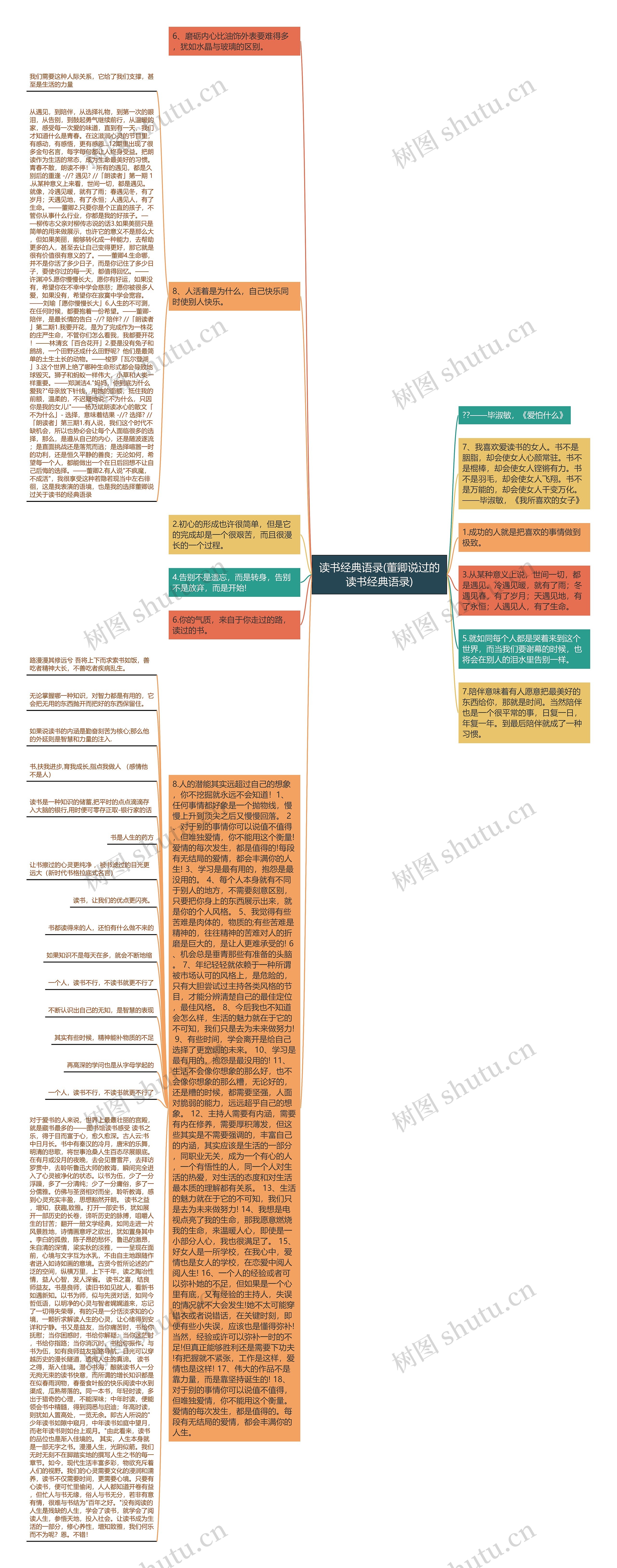 读书经典语录(董卿说过的读书经典语录)思维导图