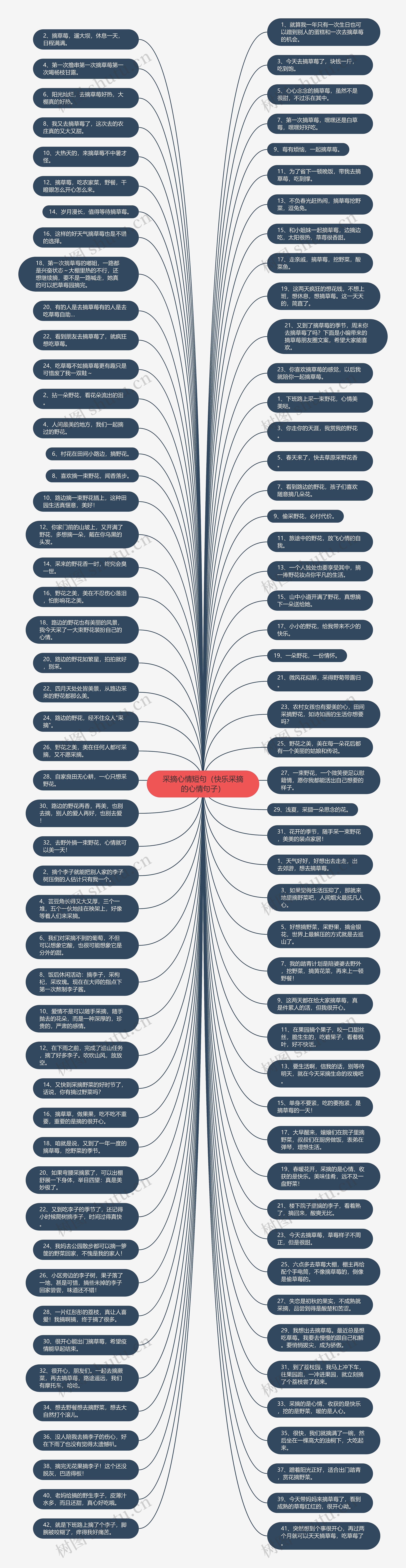 采摘心情短句（快乐采摘的心情句子）思维导图