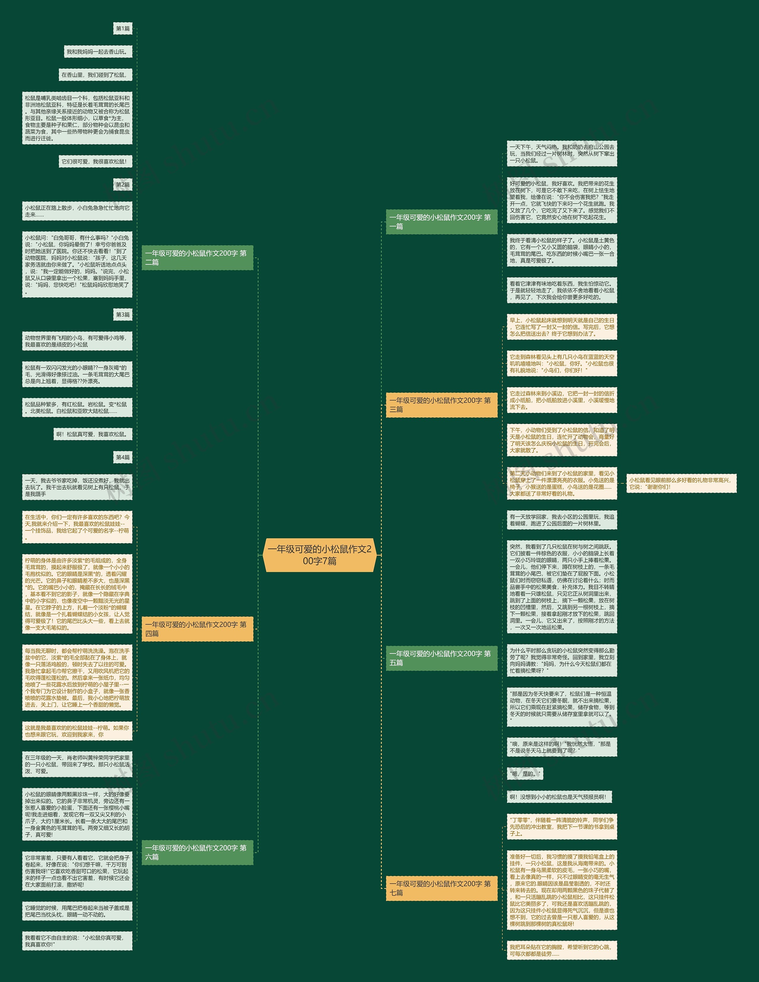 一年级可爱的小松鼠作文200字7篇思维导图