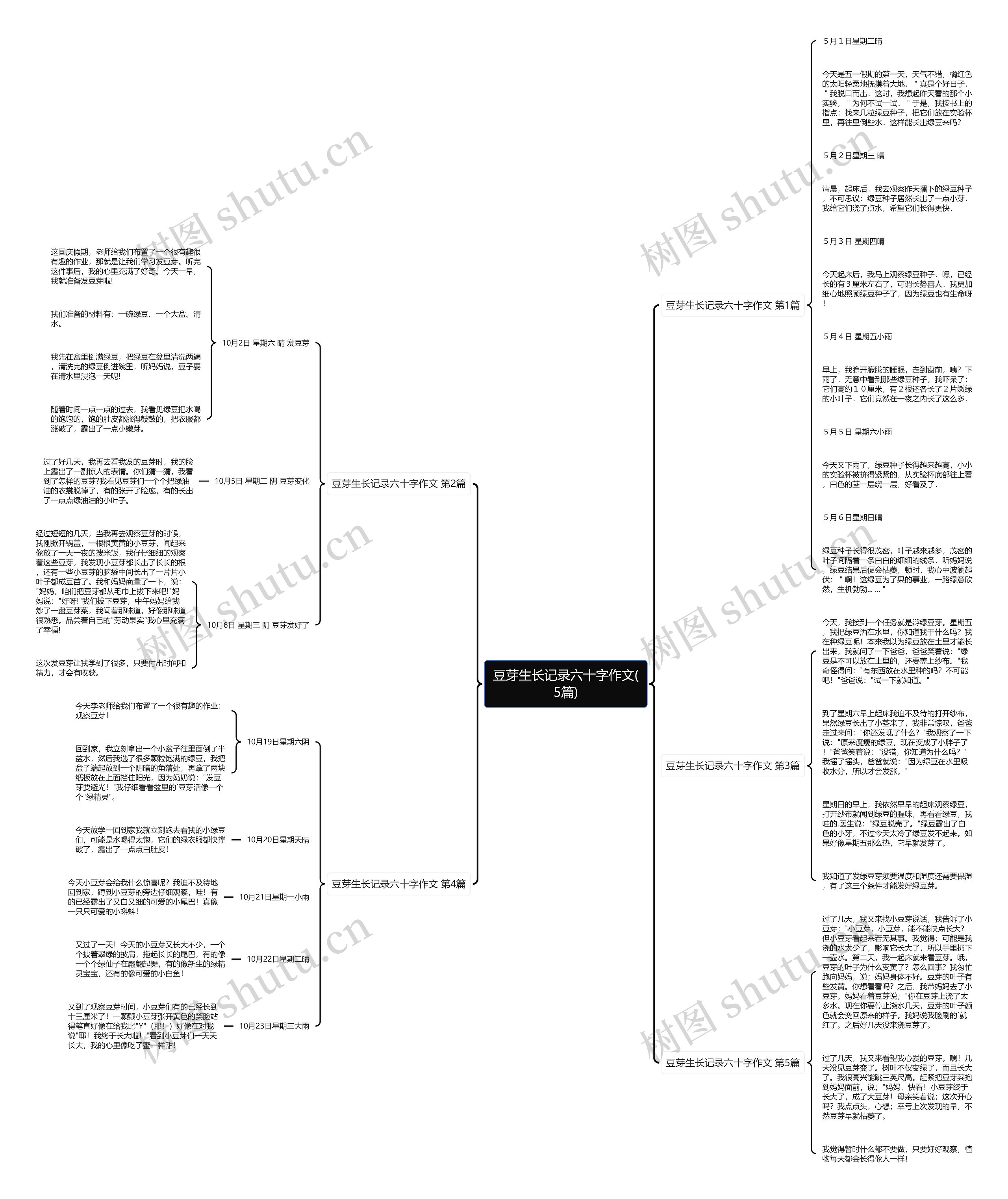 豆芽生长记录六十字作文(5篇)思维导图