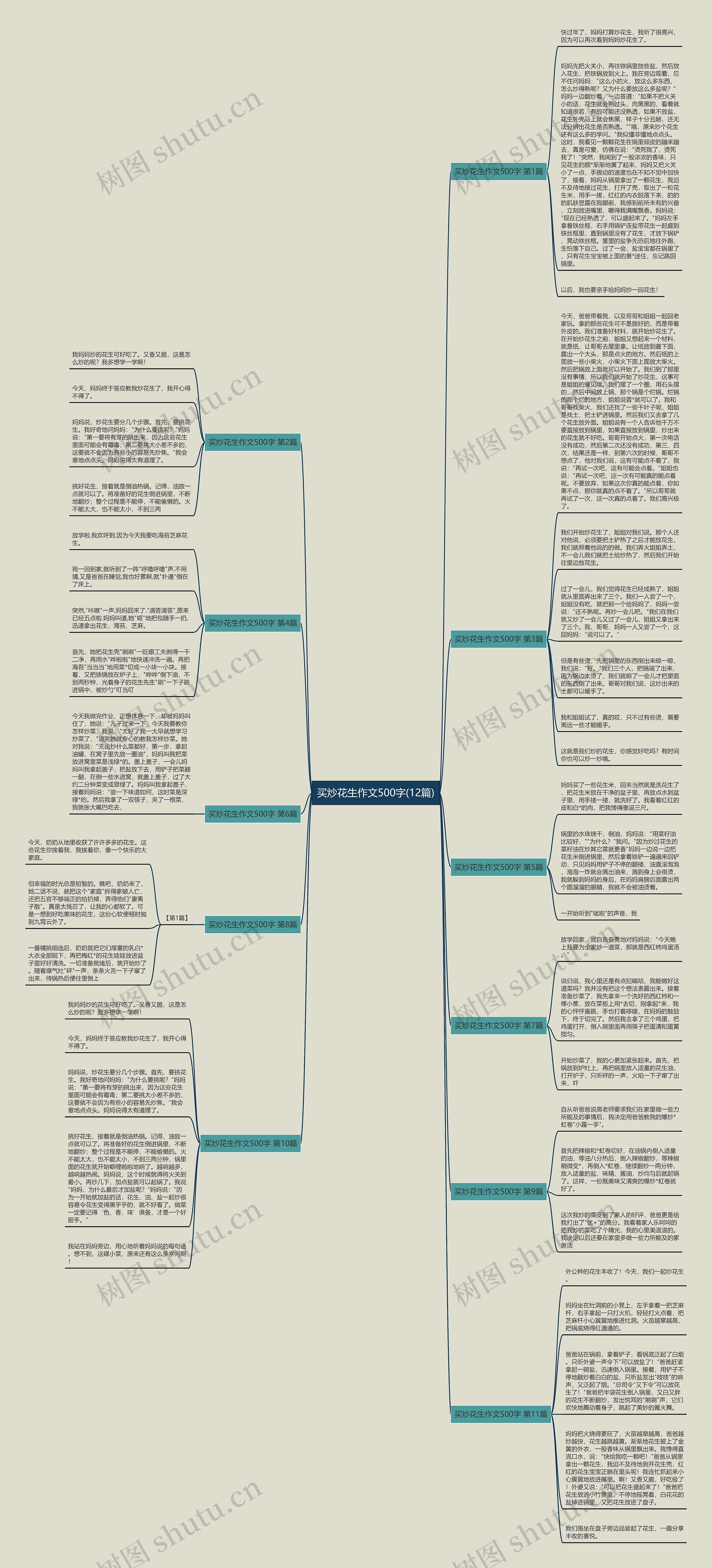 买炒花生作文500字(12篇)思维导图