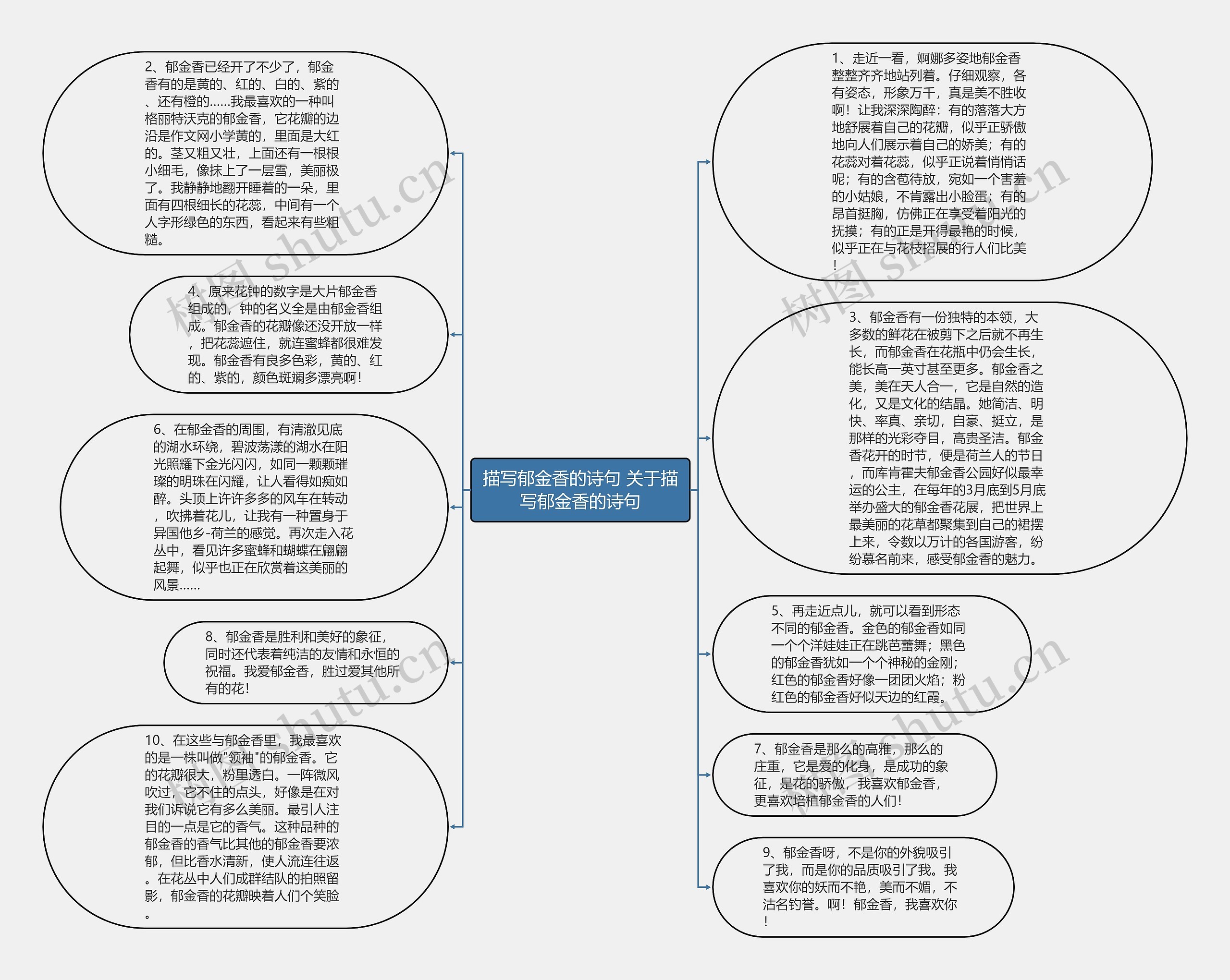 描写郁金香的诗句 关于描写郁金香的诗句思维导图