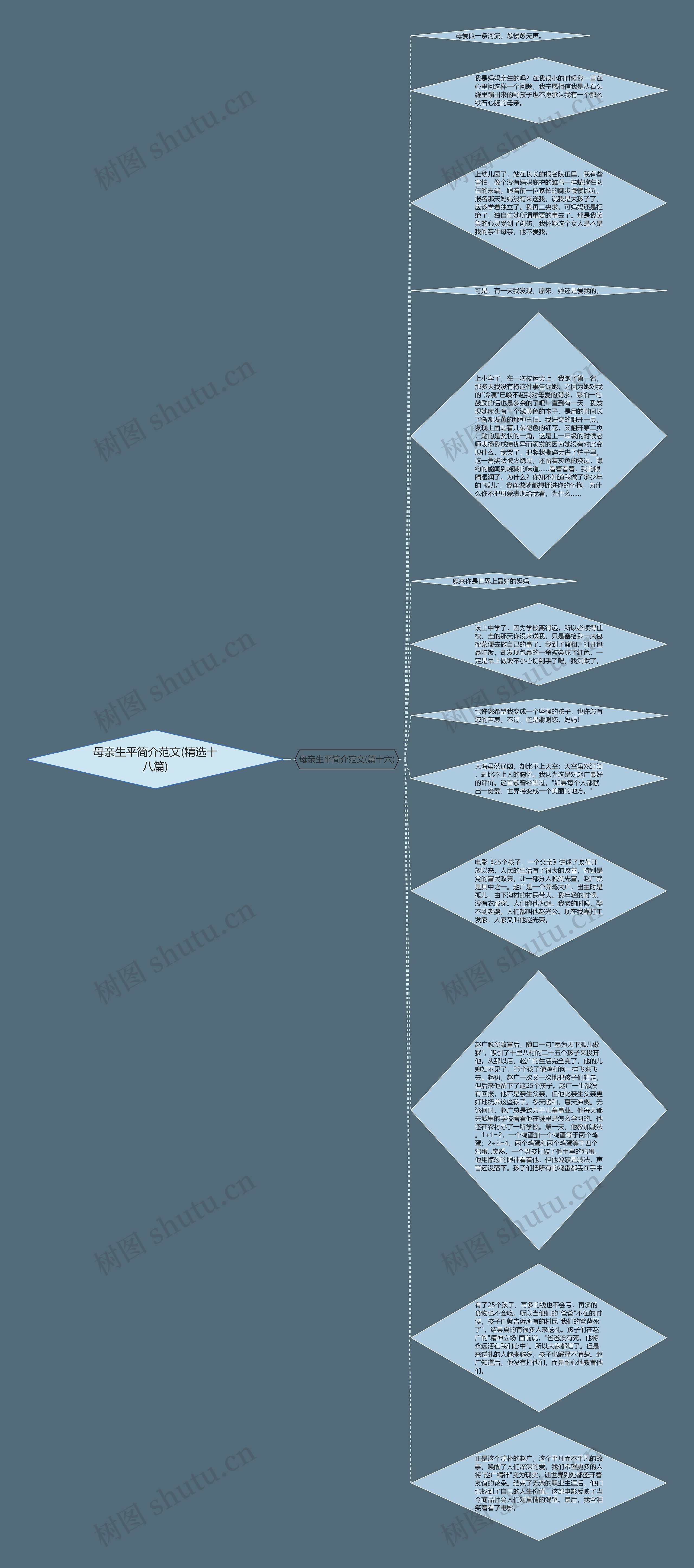 母亲生平简介范文(精选十八篇)思维导图