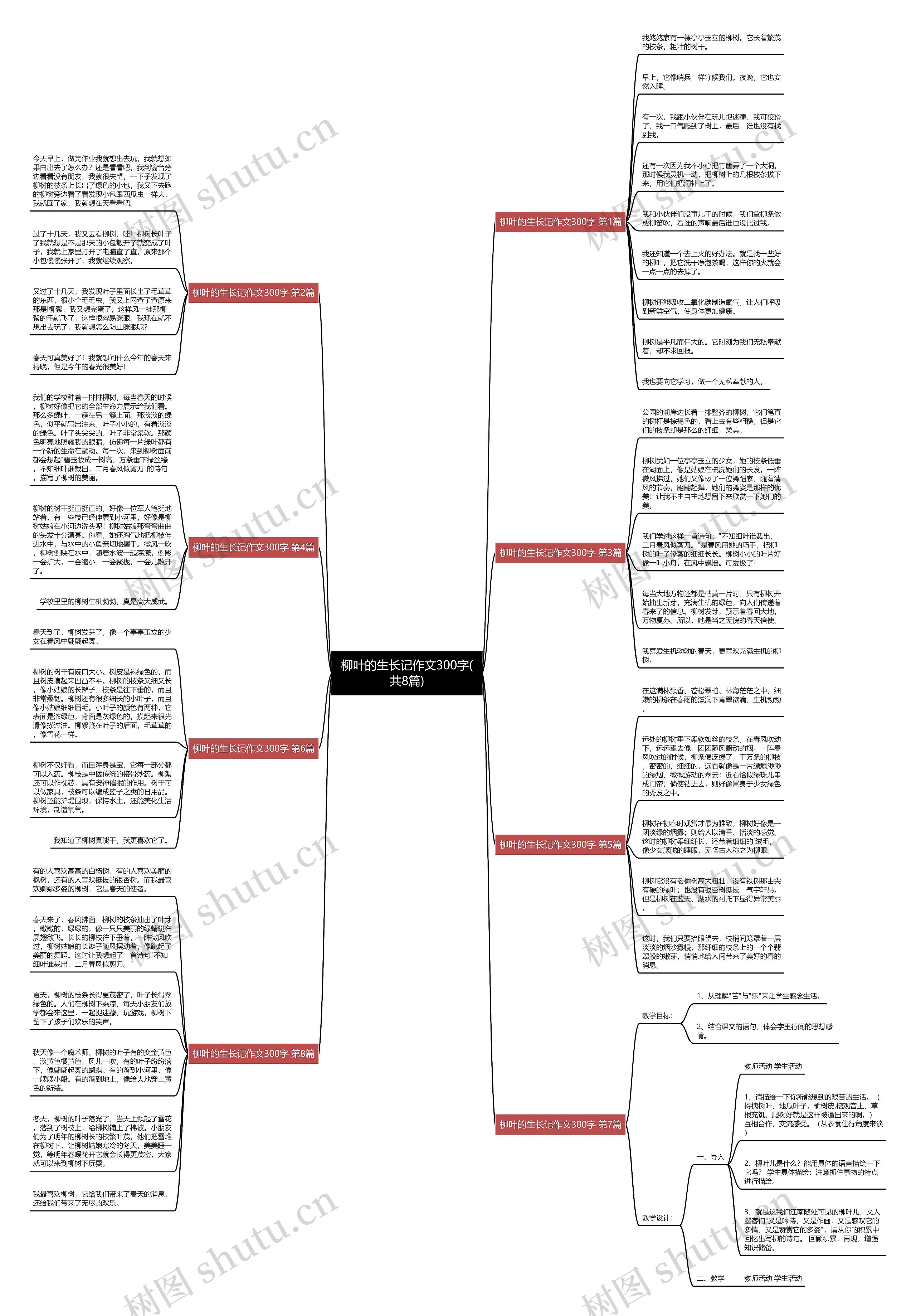 柳叶的生长记作文300字(共8篇)思维导图