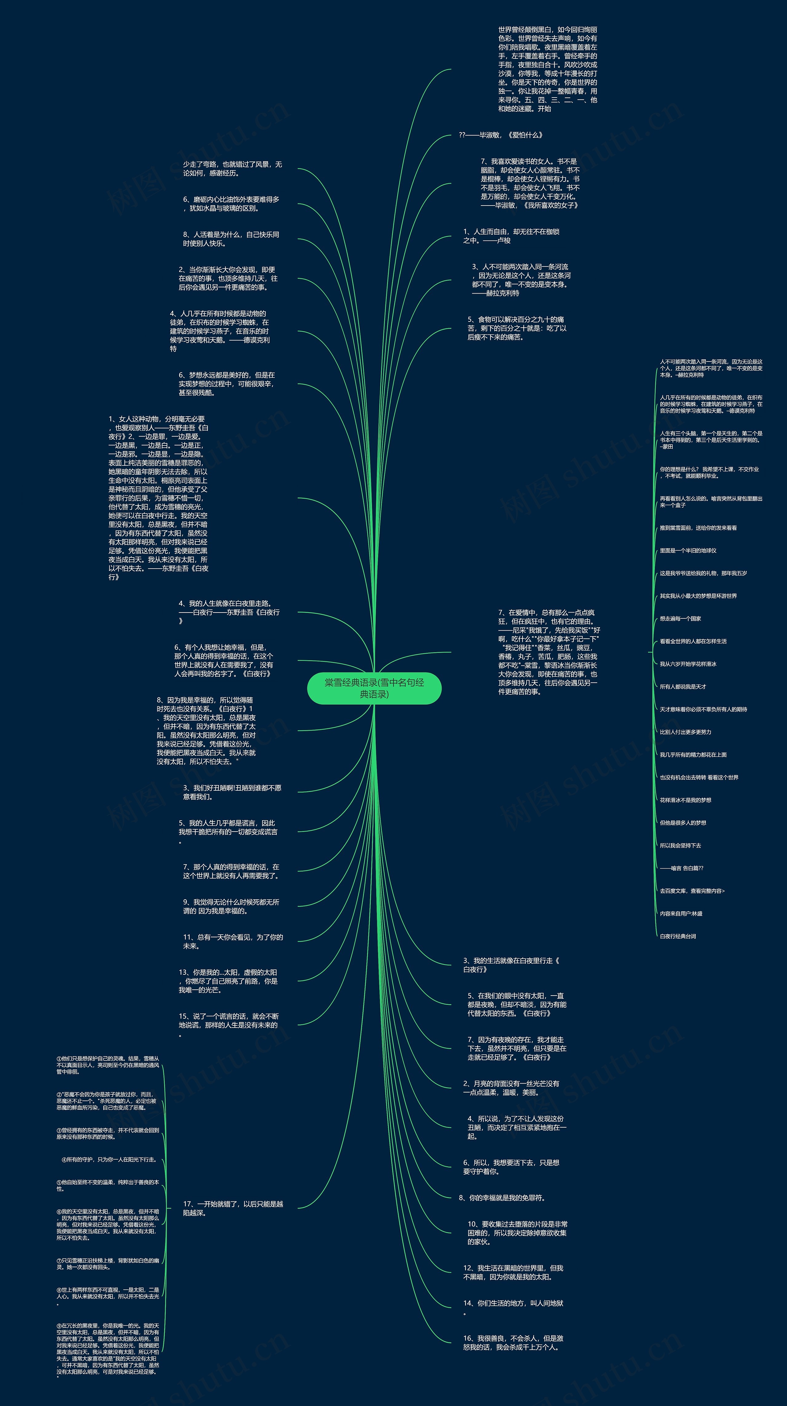 棠雪经典语录(雪中名句经典语录)思维导图