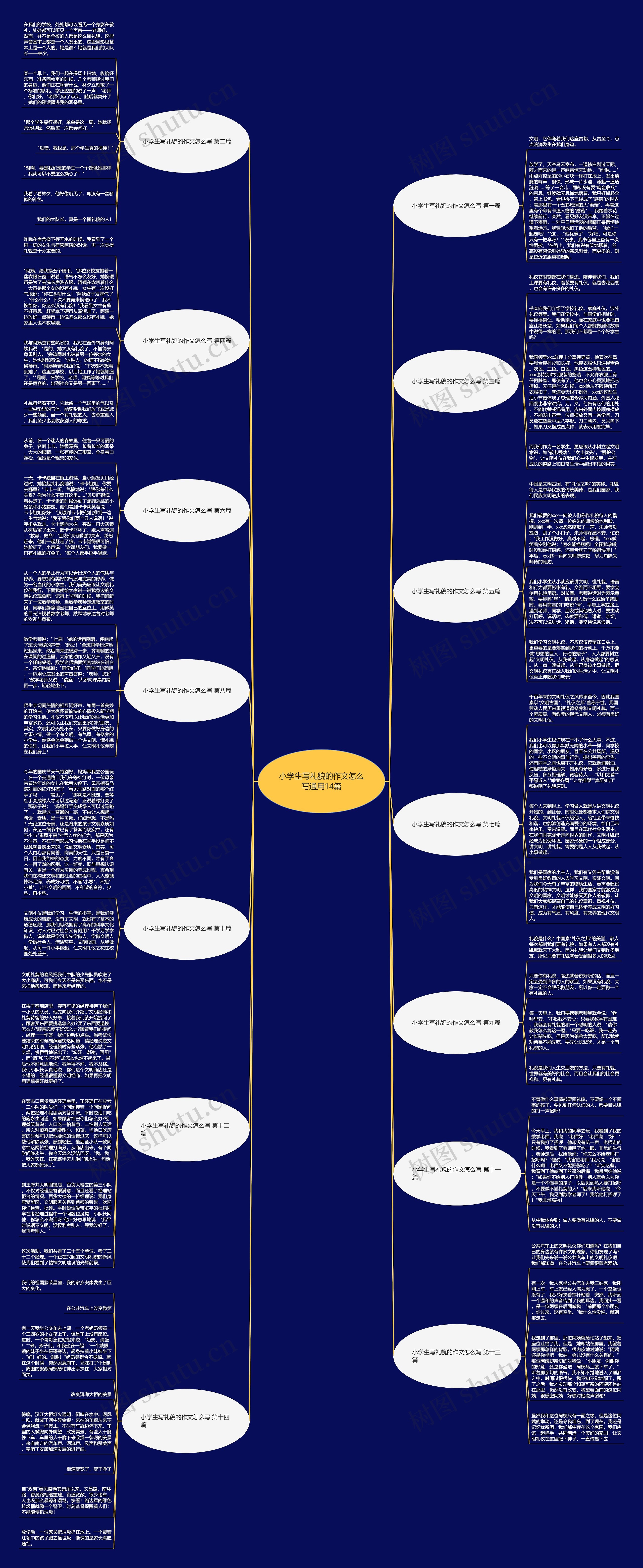 小学生写礼貌的作文怎么写通用14篇思维导图