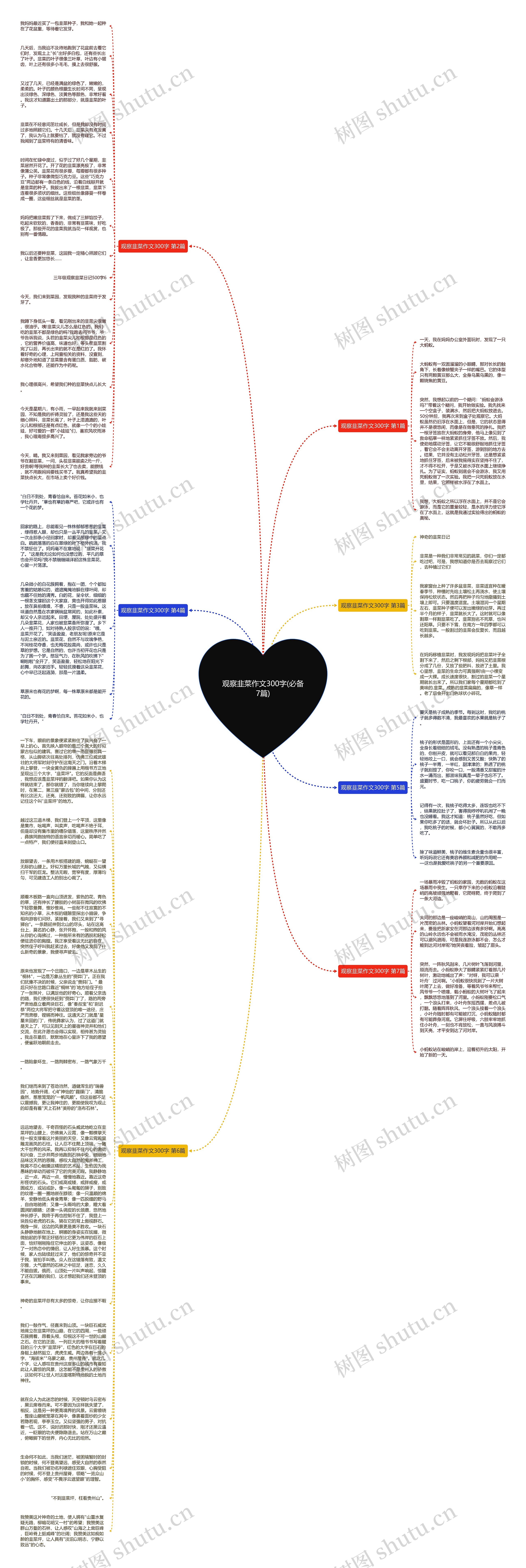 观察韭菜作文300字(必备7篇)思维导图