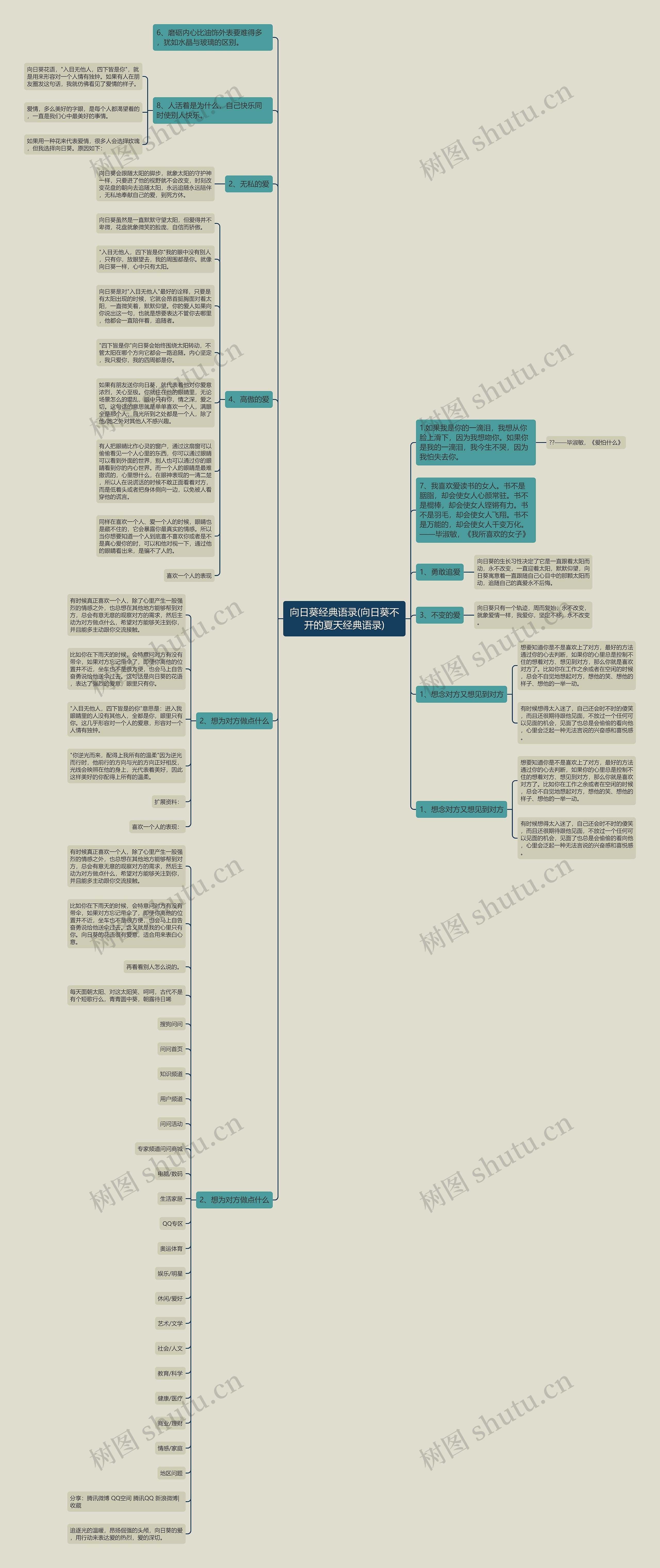 向日葵经典语录(向日葵不开的夏天经典语录)思维导图