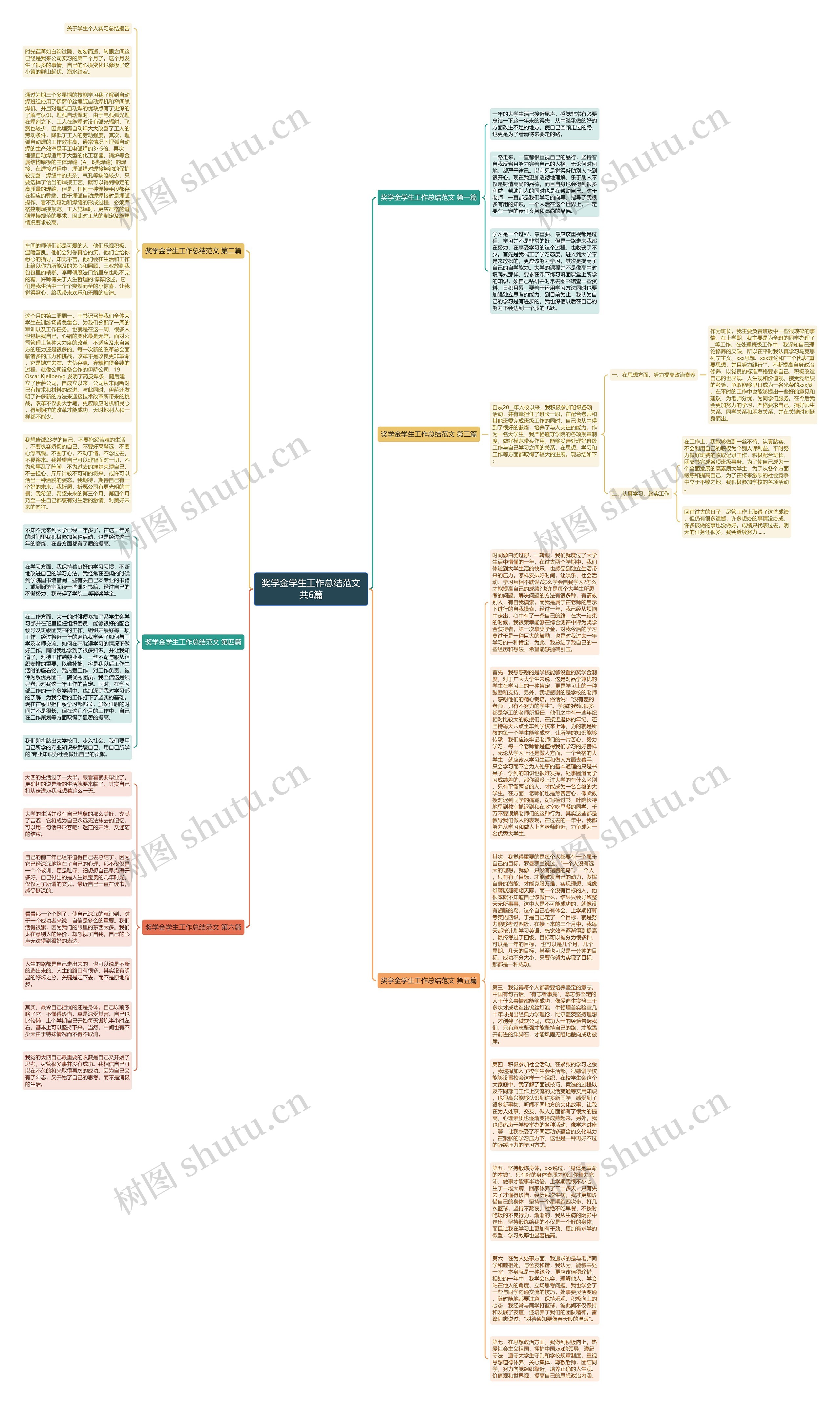 奖学金学生工作总结范文共6篇思维导图
