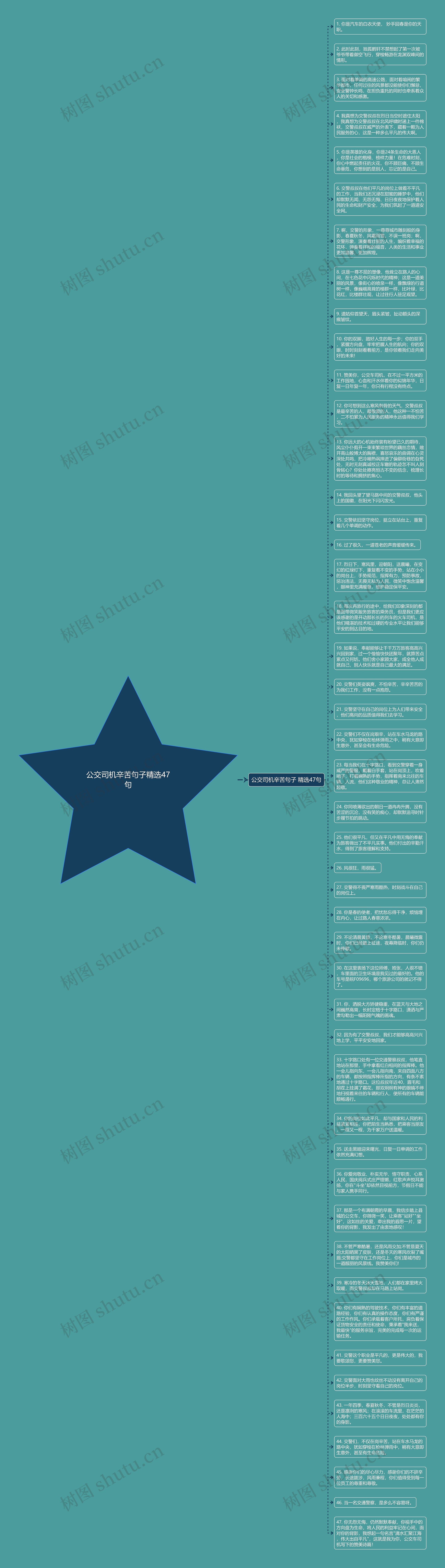 公交司机辛苦句子精选47句思维导图