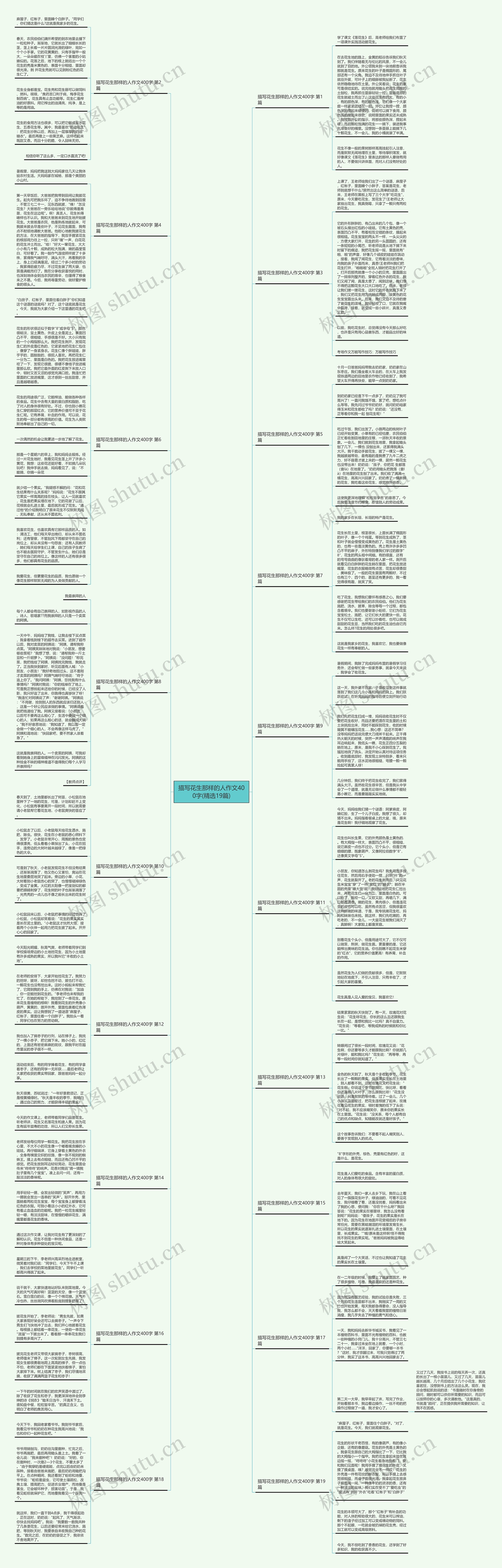 描写花生那样的人作文400字(精选19篇)思维导图