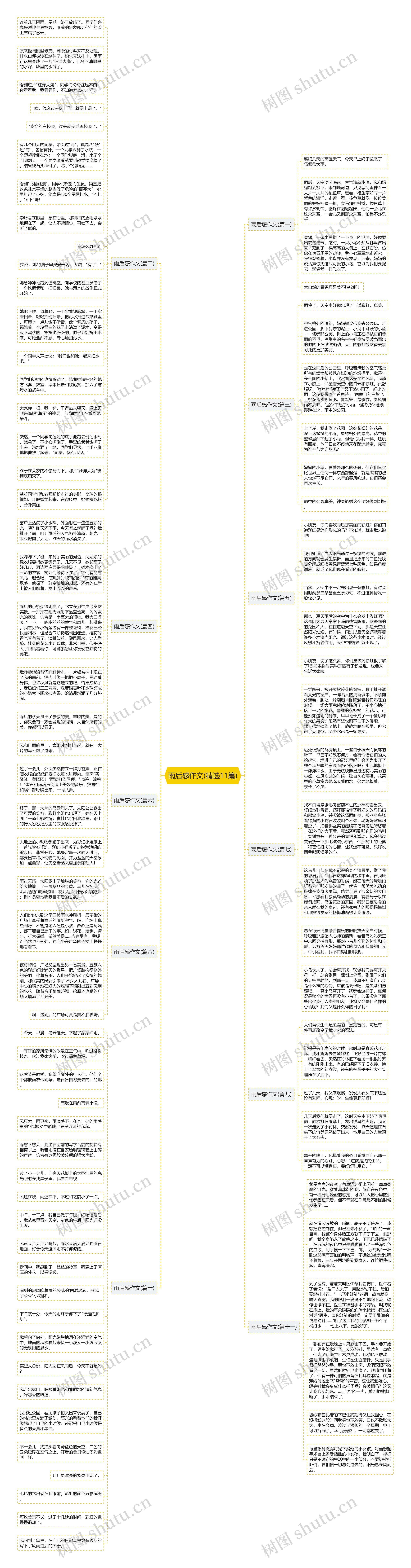 雨后感作文(精选11篇)