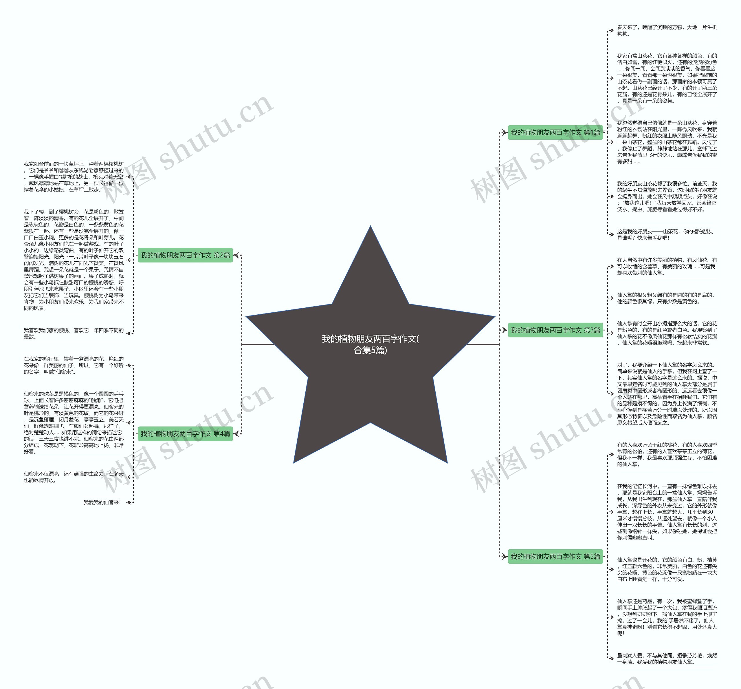 我的植物朋友两百字作文(合集5篇)思维导图