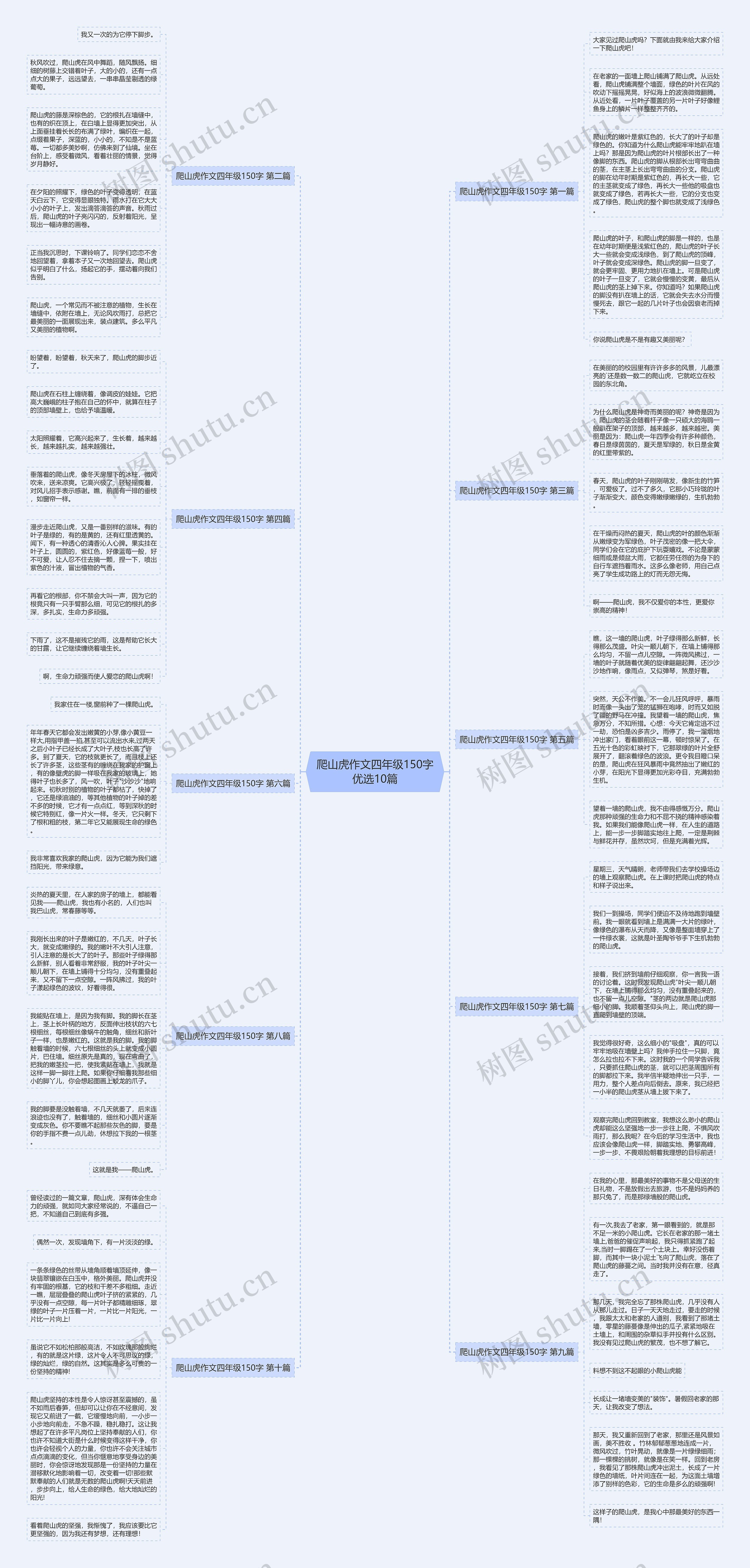 爬山虎作文四年级150字优选10篇 爬山虎作文四年级150字优选10篇