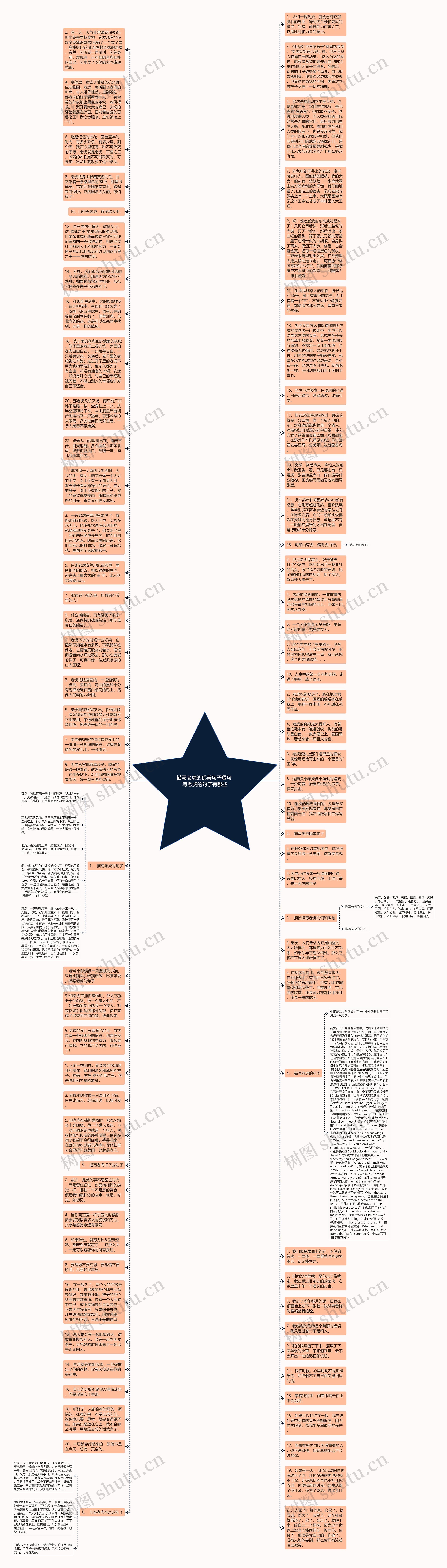 描写老虎的优美句子短句 写老虎的句子有哪些思维导图